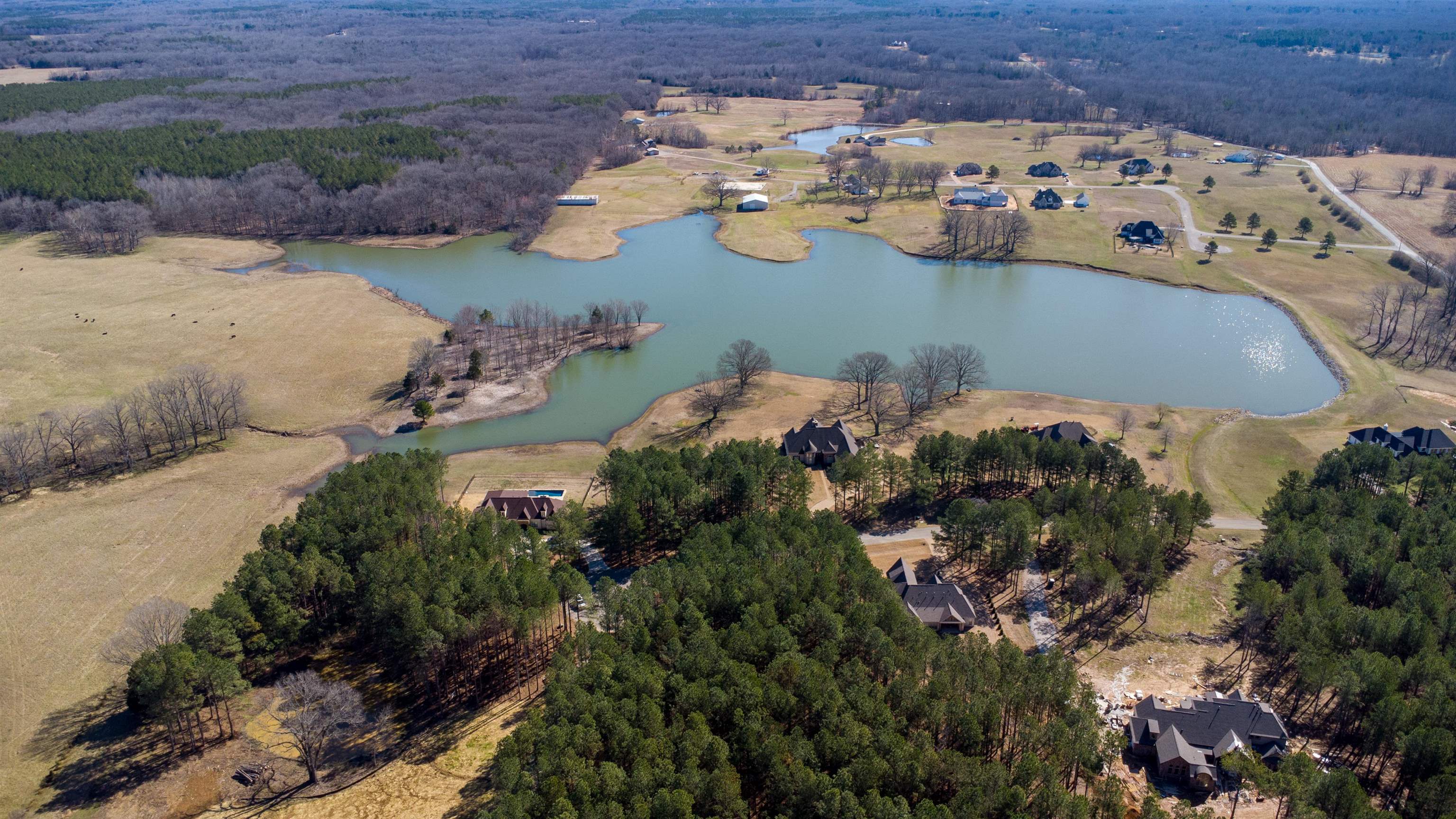 365 Belle Farms Dr Property Photo 4