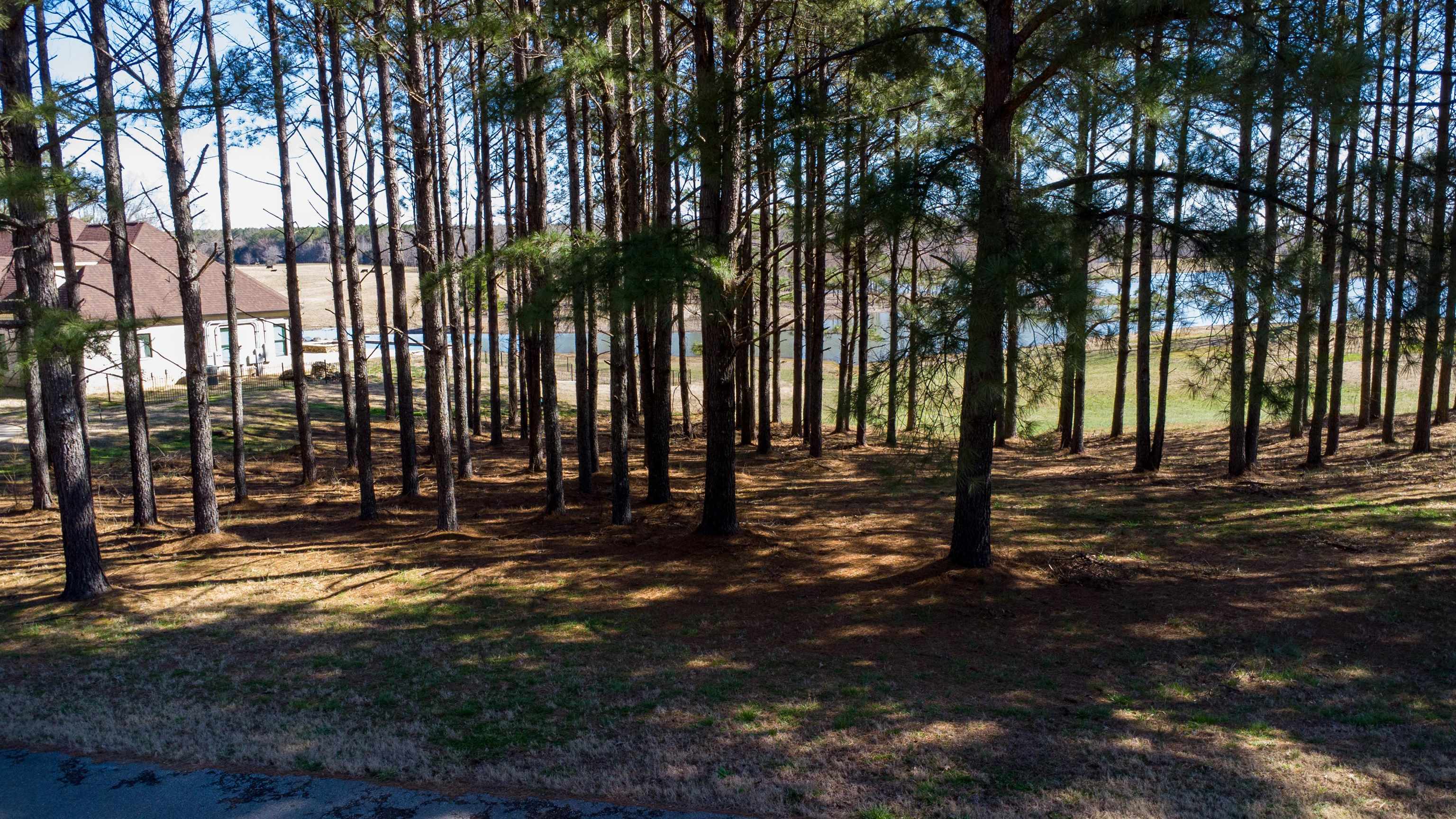 365 Belle Farms Dr Property Photo 5