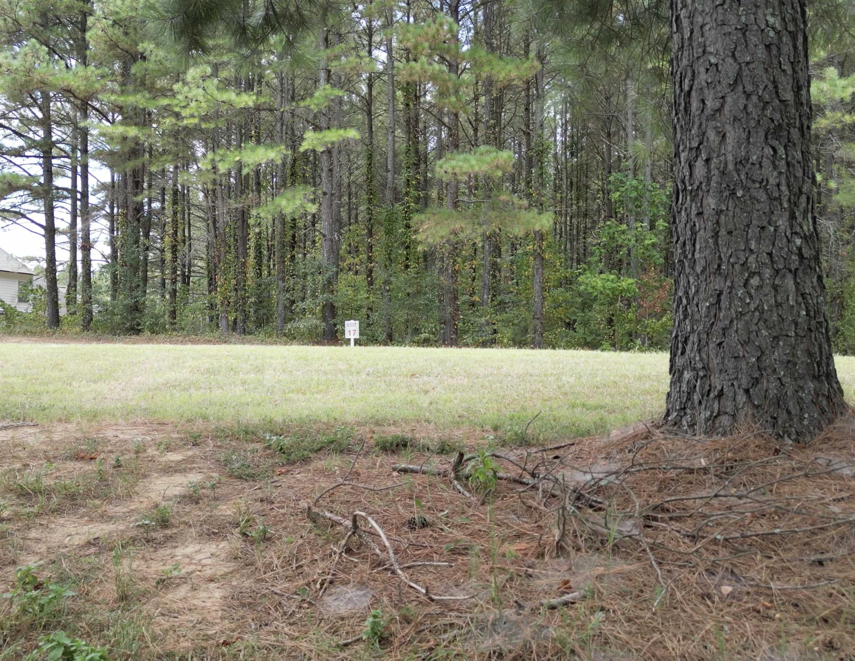 365 Belle Farms Dr Property Photo 25