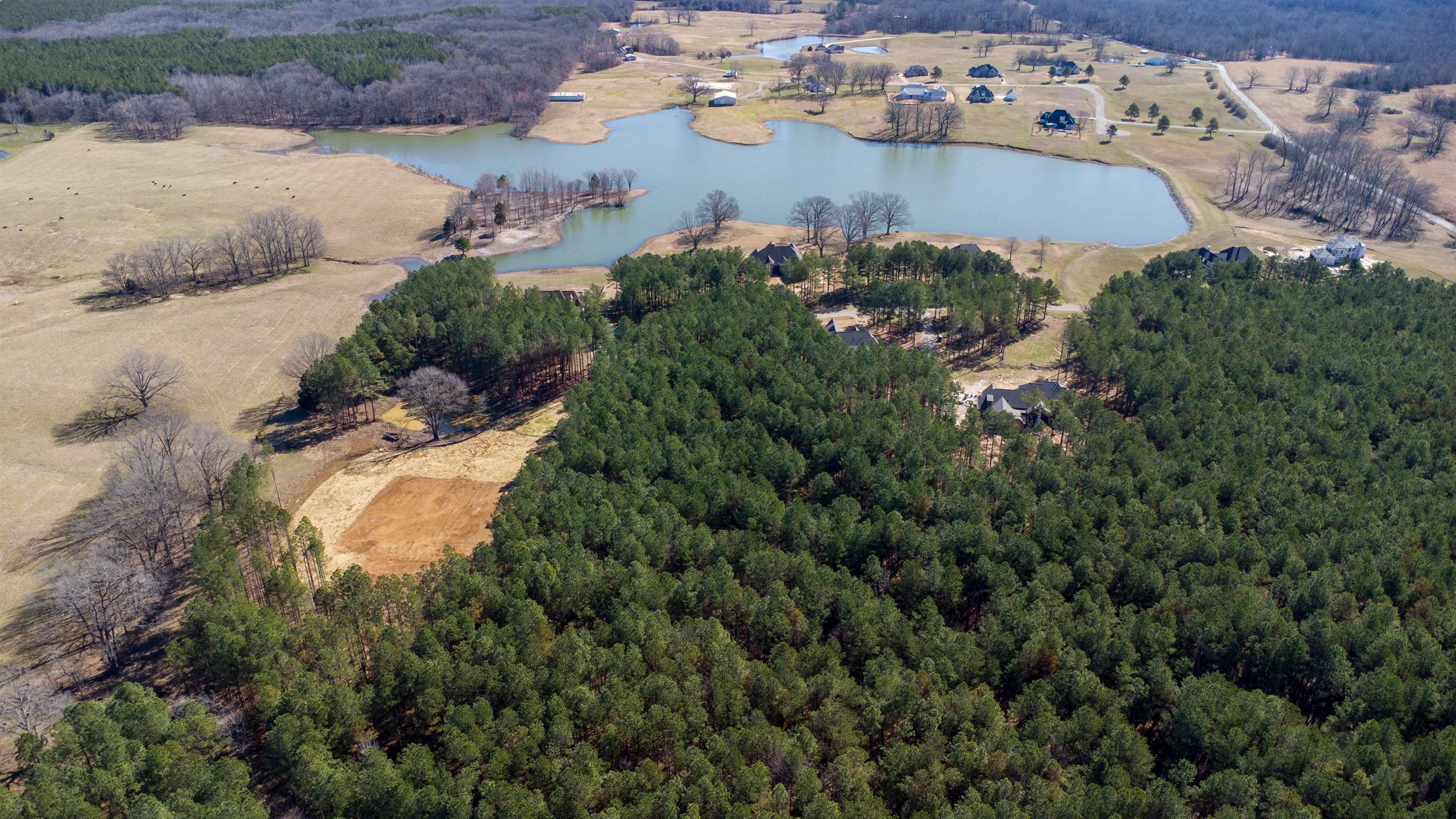 365 Belle Farms Dr Property Photo 32