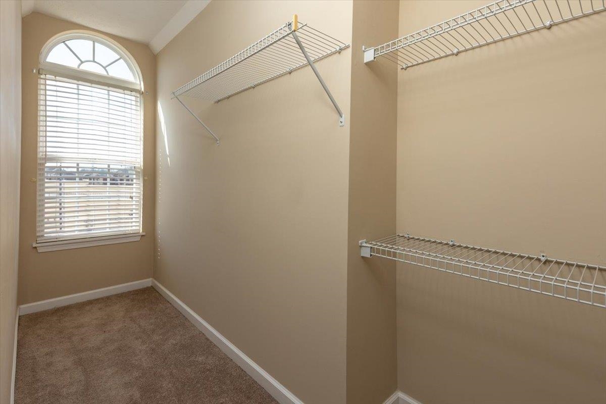 168 Clementine Rd Property Photo 27