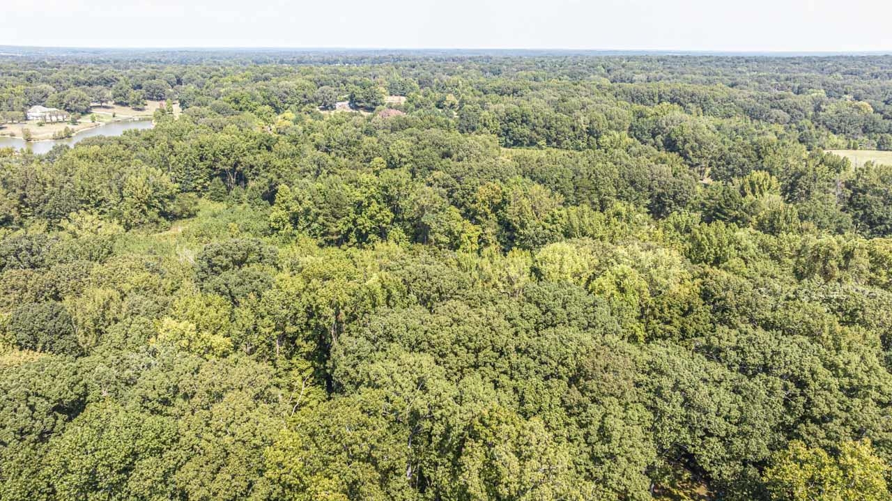 0 WILLOW OAK DR Property Photo 1