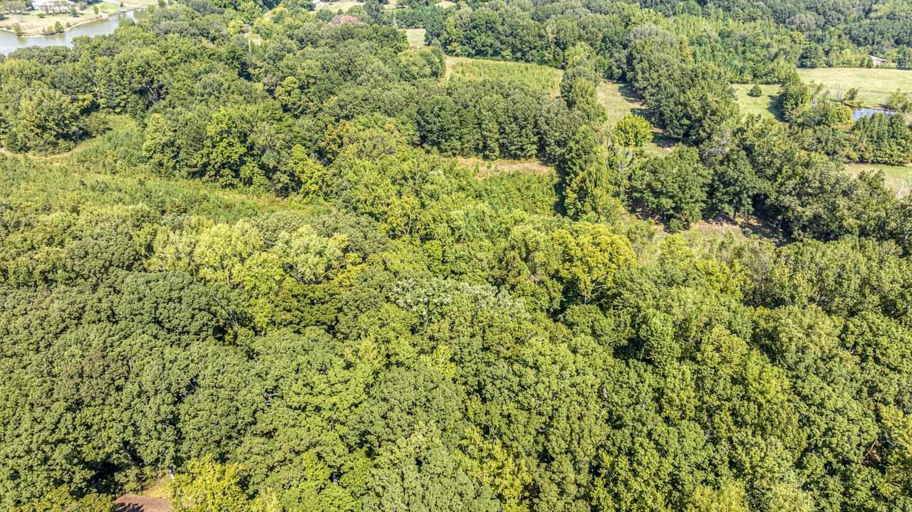 0 Willow Oak Dr Property Photo 7