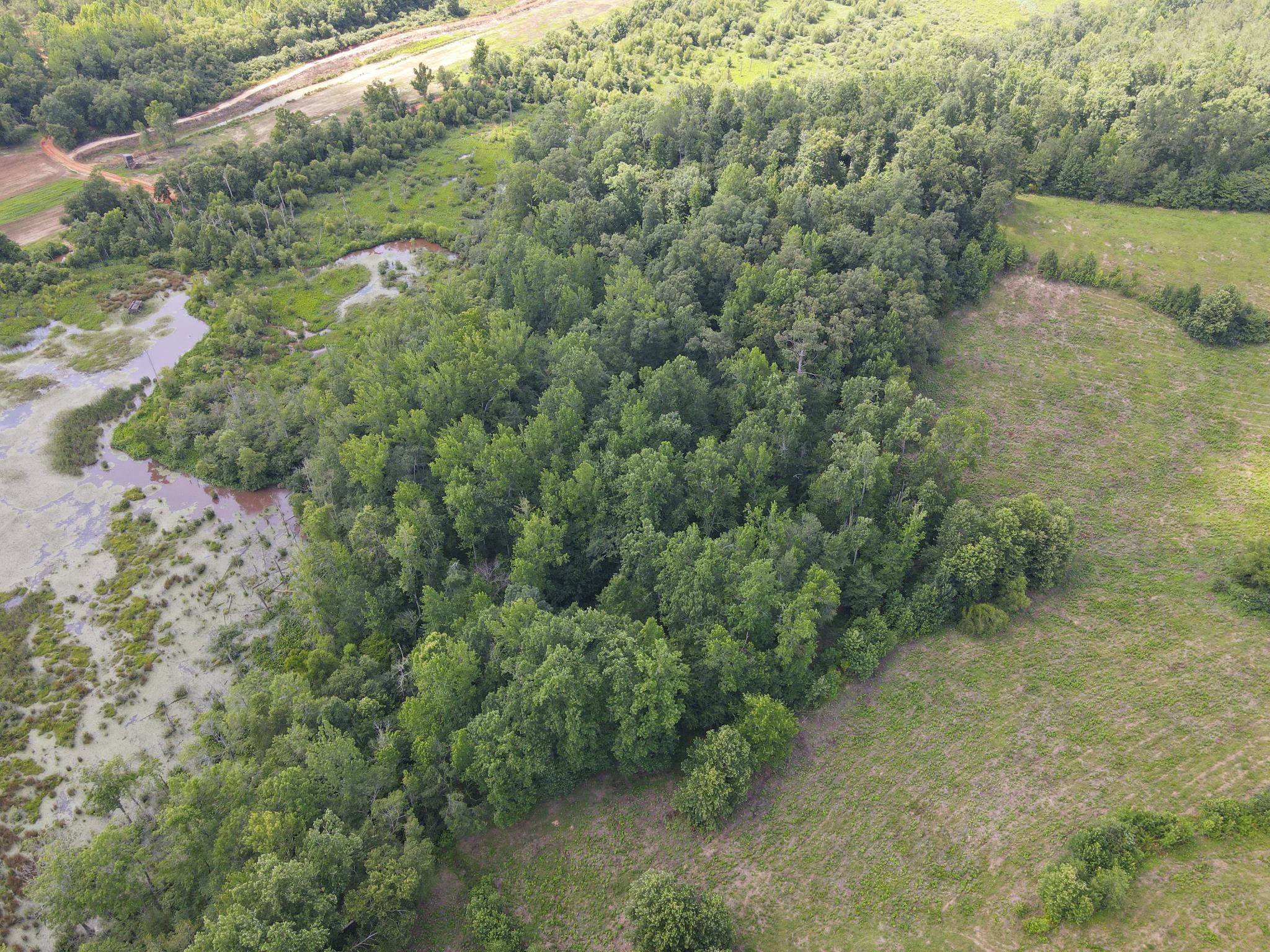 1 Marshall Dr Property Photo 13