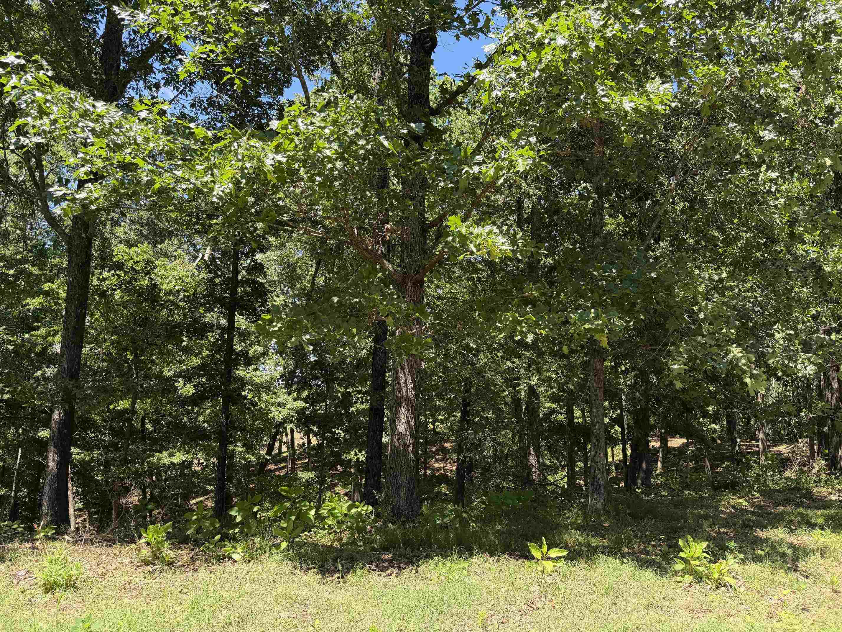 1 Marshall Dr Property Photo 26