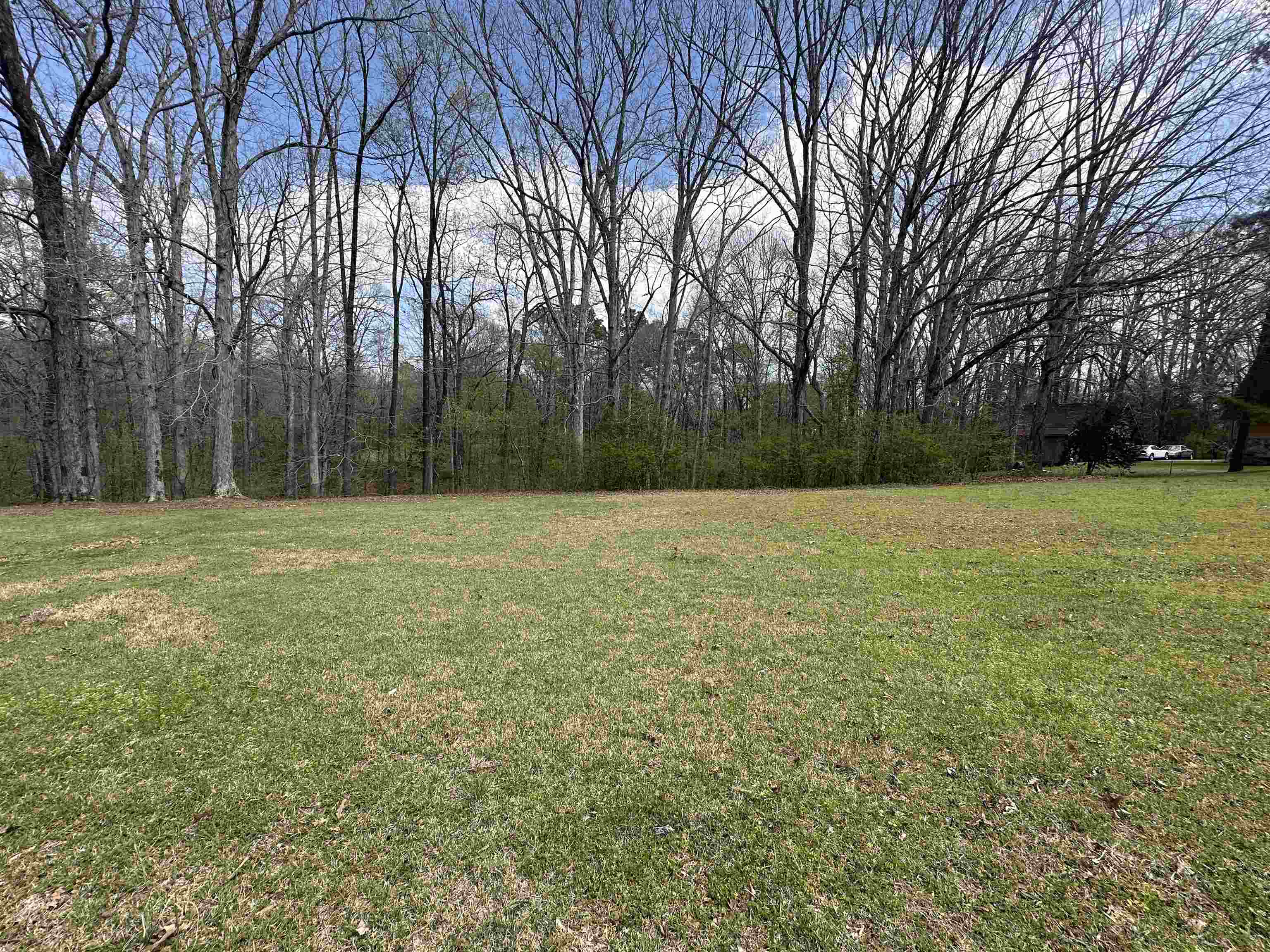 0 SHELBY LN Property Photo 1