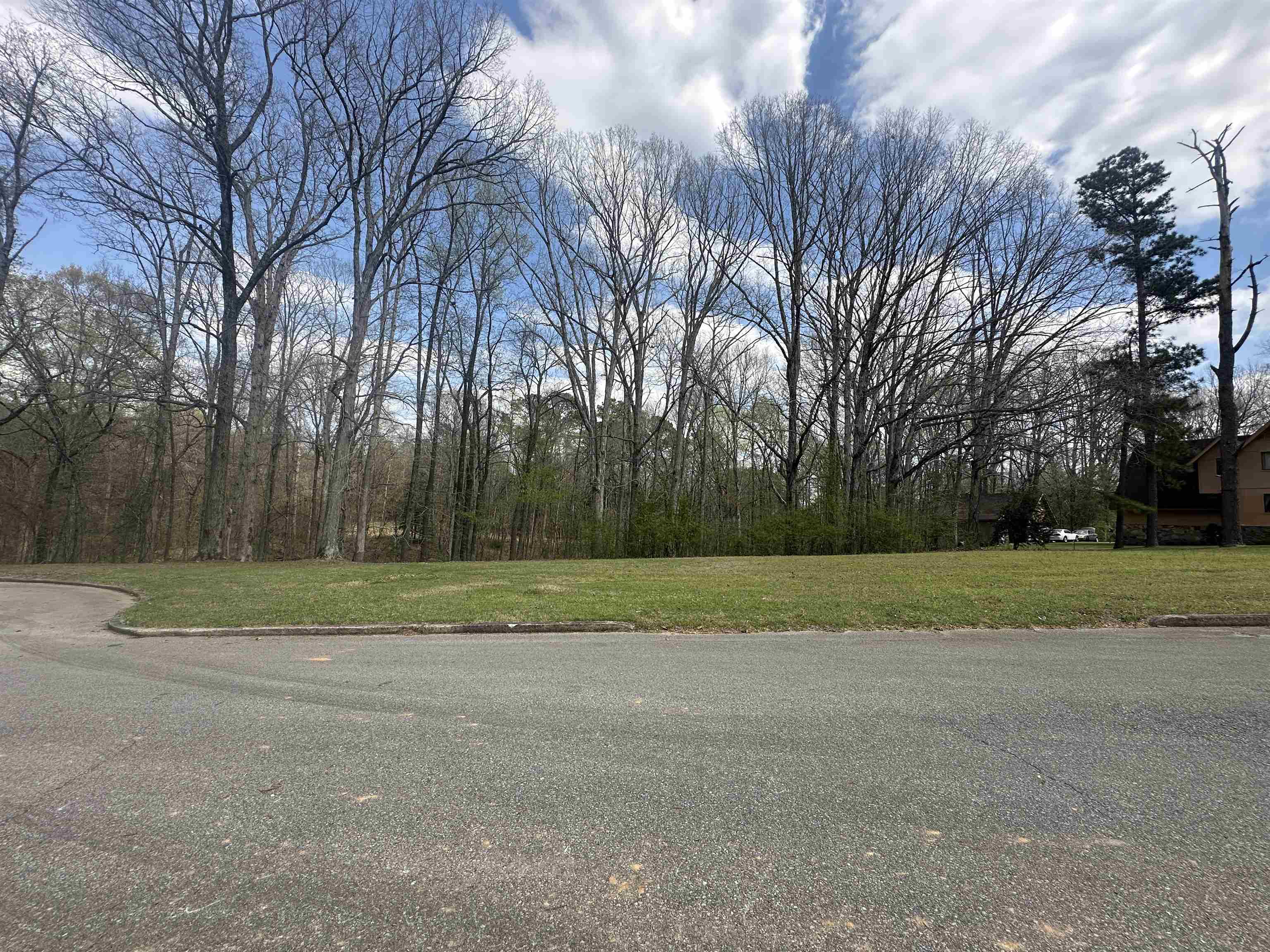 0 Shelby Ln Property Photo 4