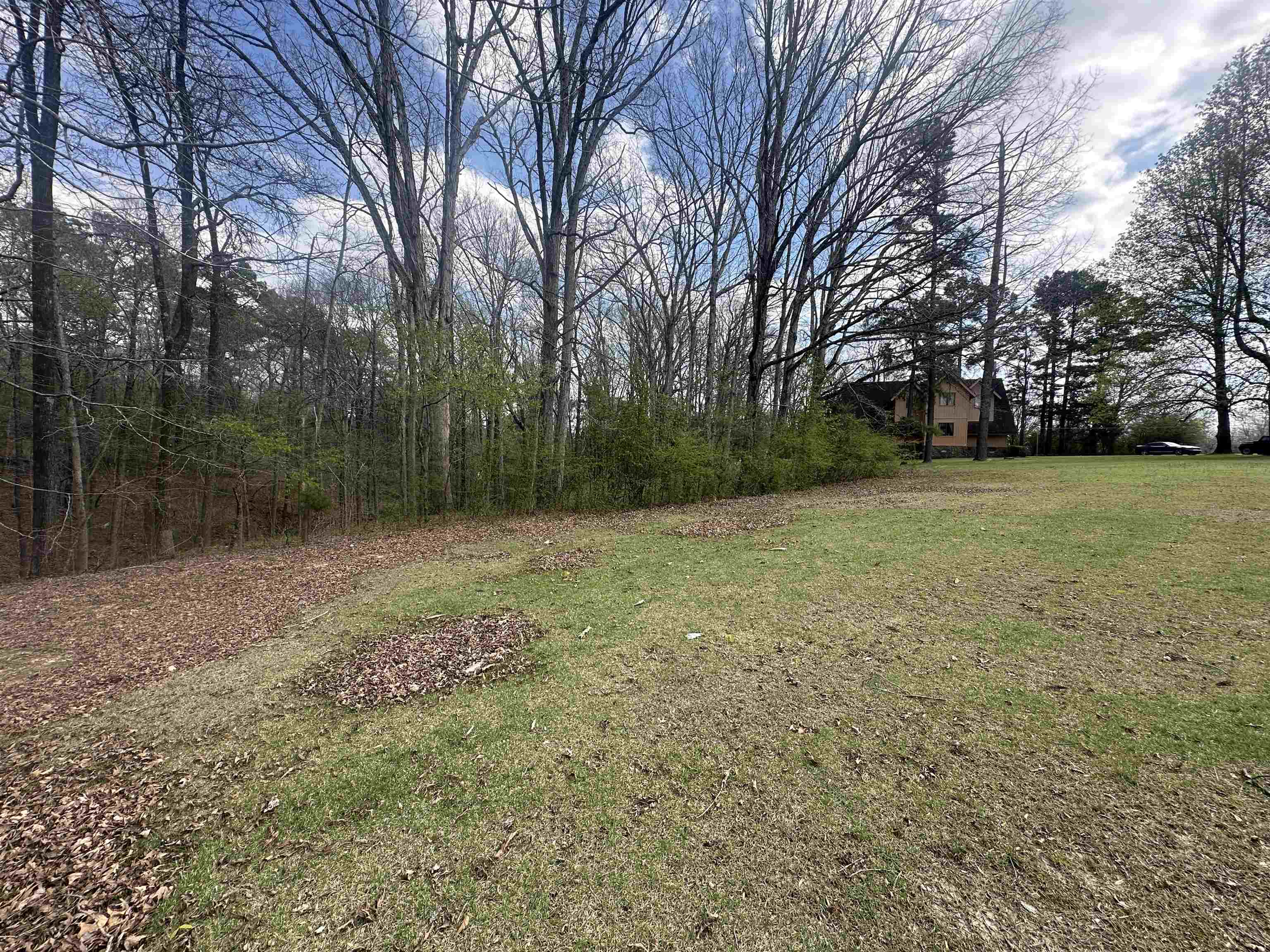 0 Shelby Ln Property Photo 5