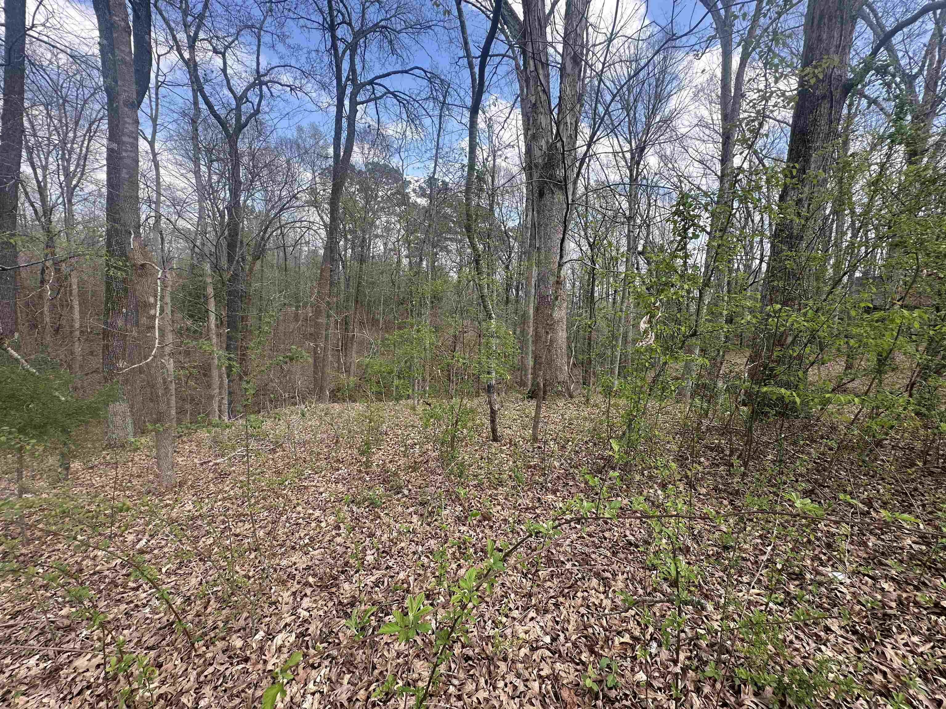 0 Shelby Ln Property Photo 6