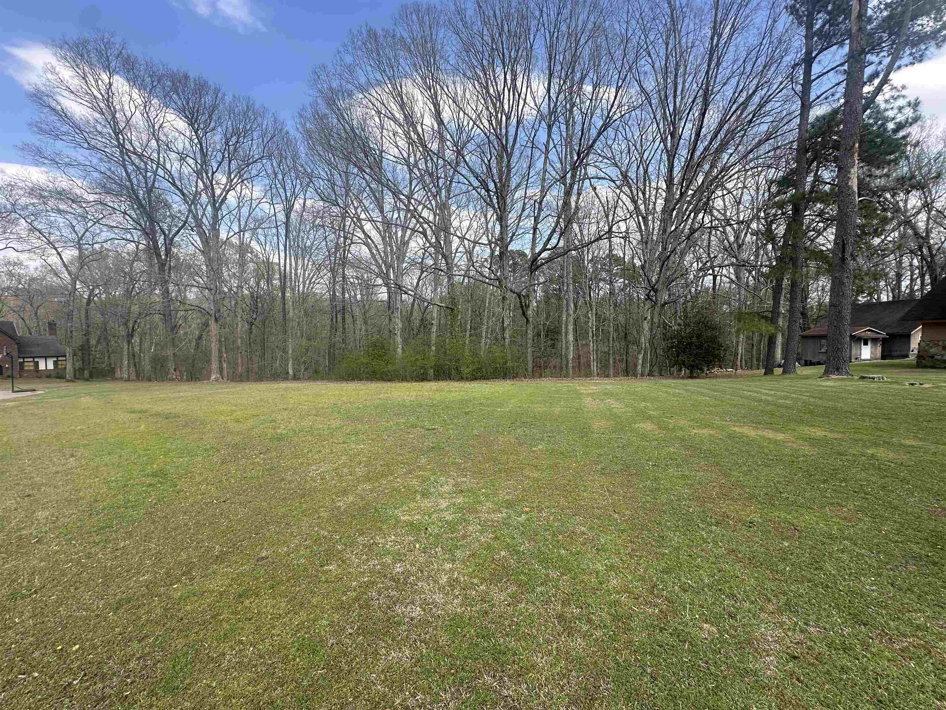 0 Shelby Ln Property Photo 8