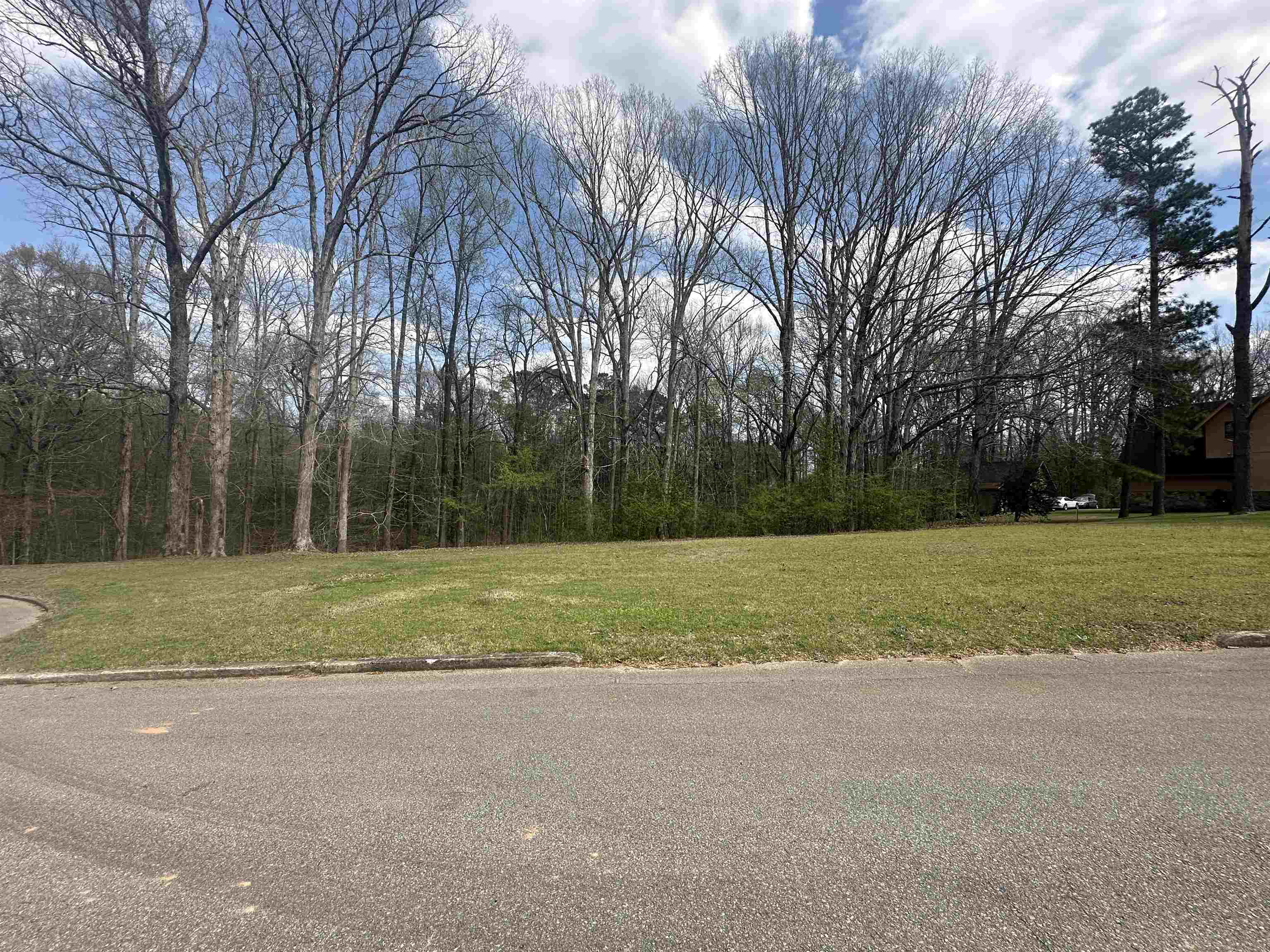 0 Shelby Ln Property Photo 10