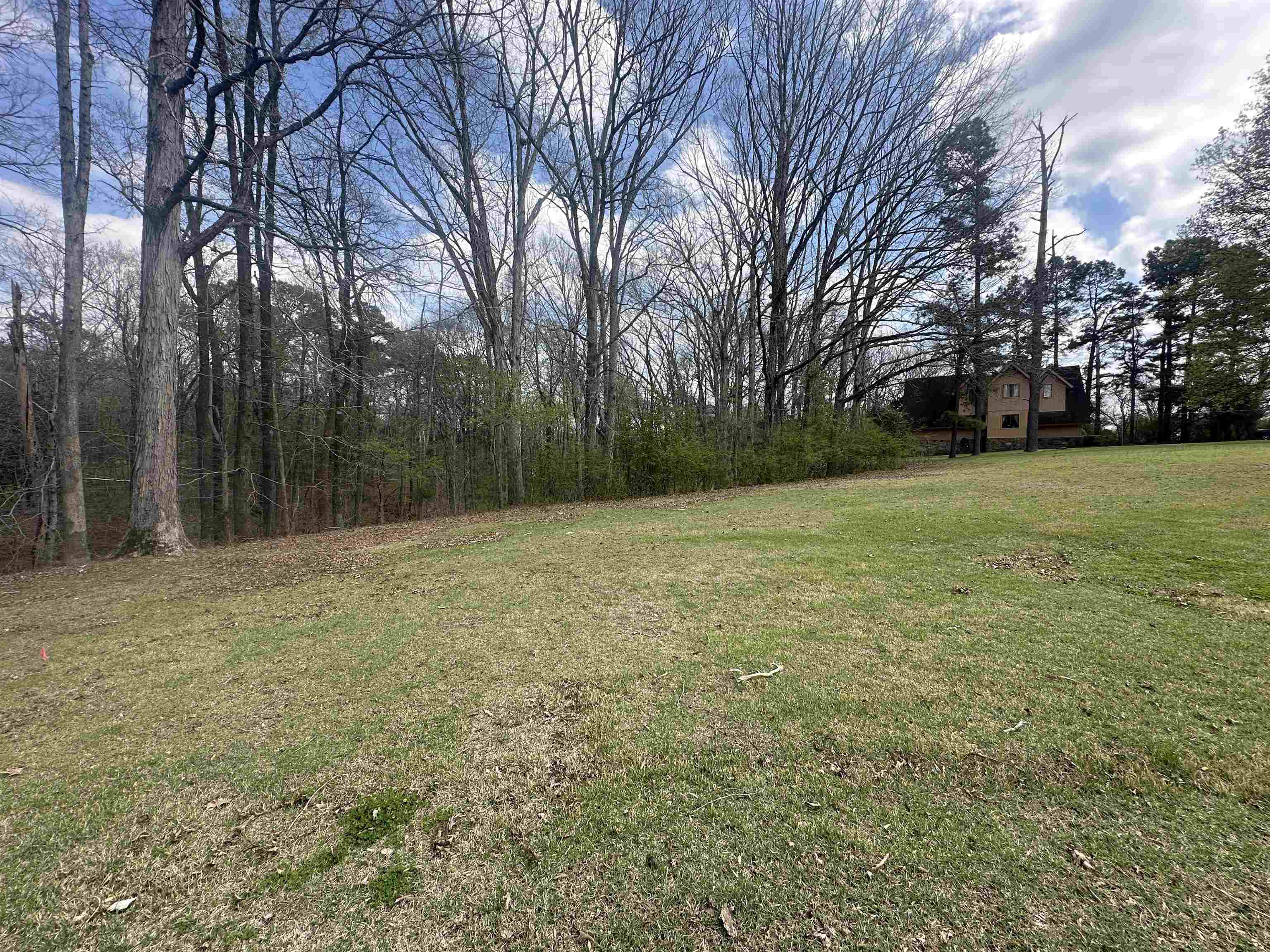 0 Shelby Ln Property Photo 11