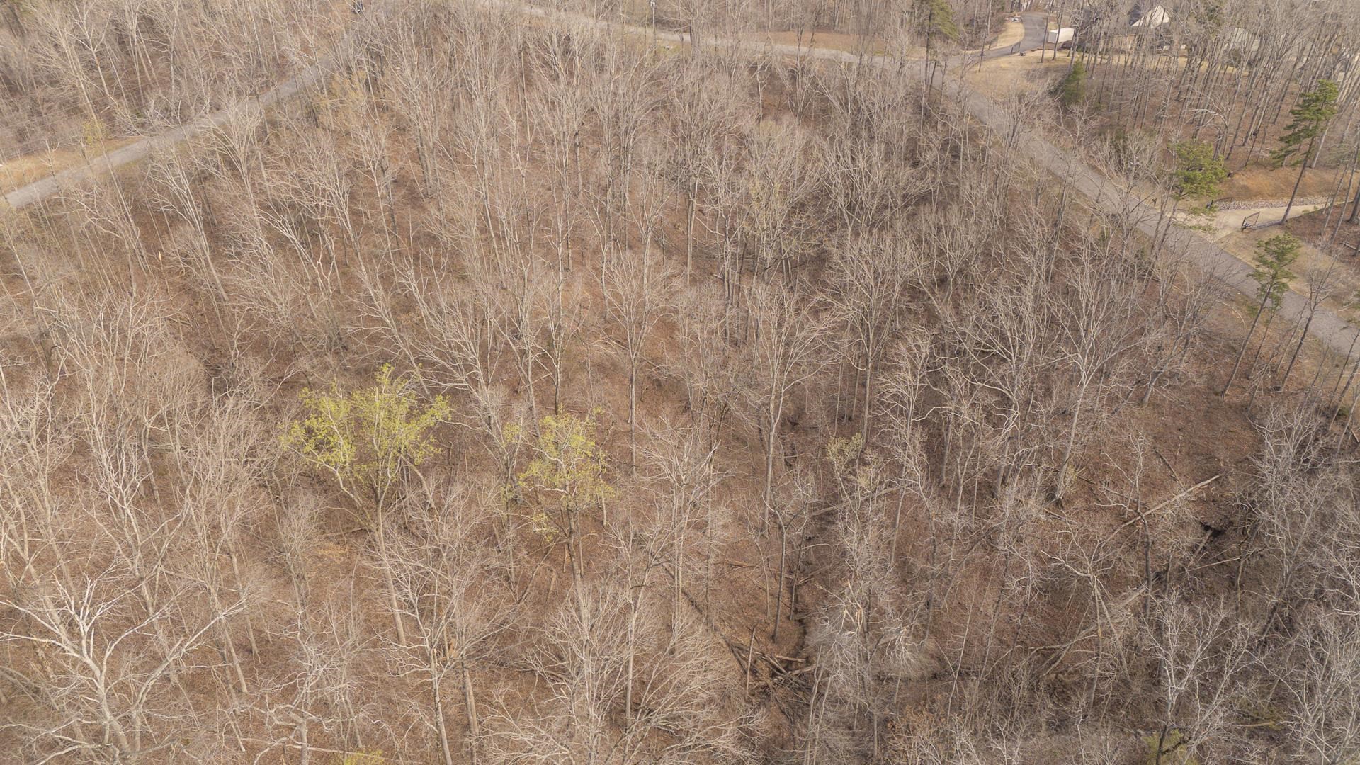 0 Quarry Hollow Pt Property Photo 12
