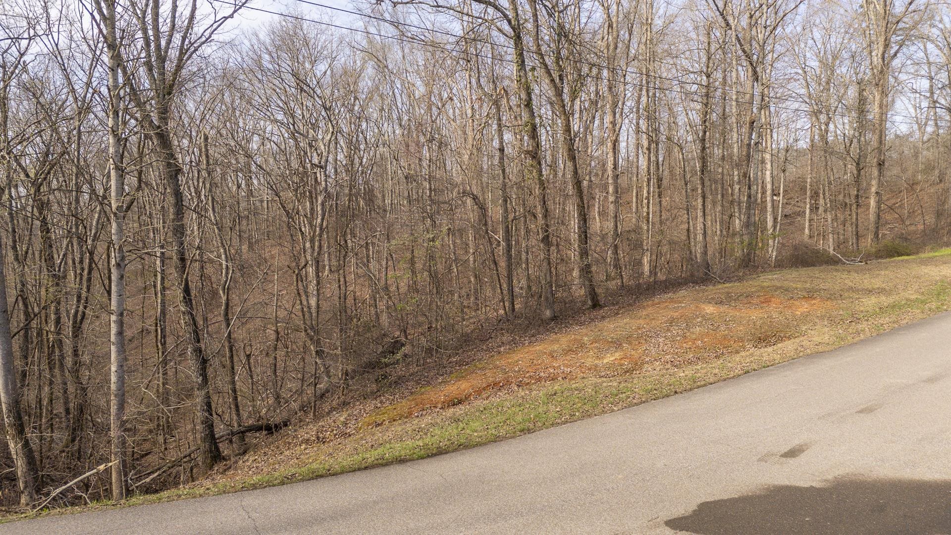 0 Quarry Hollow Pt Property Photo 17