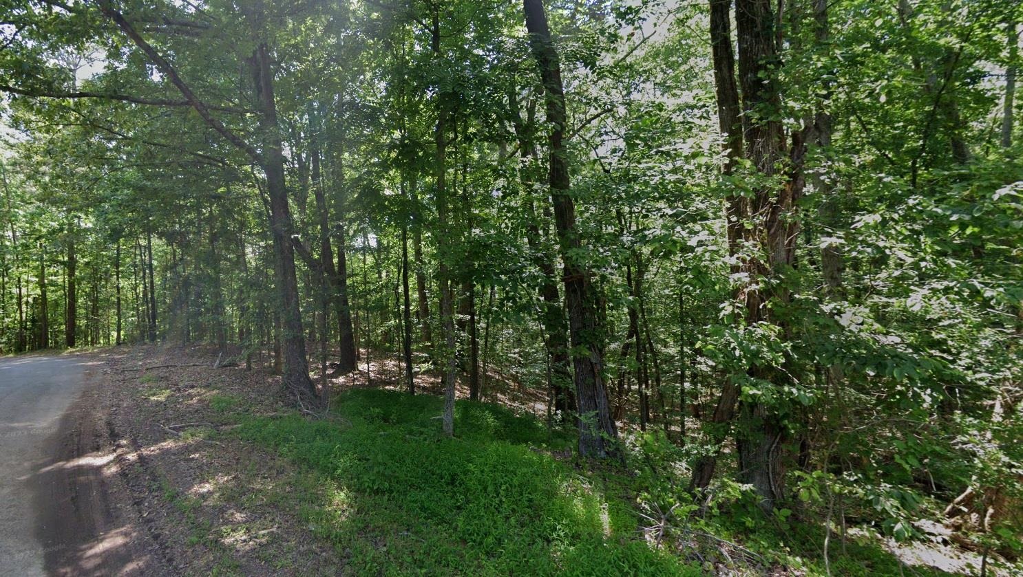 Cedar Grove Loop Property Photo 2