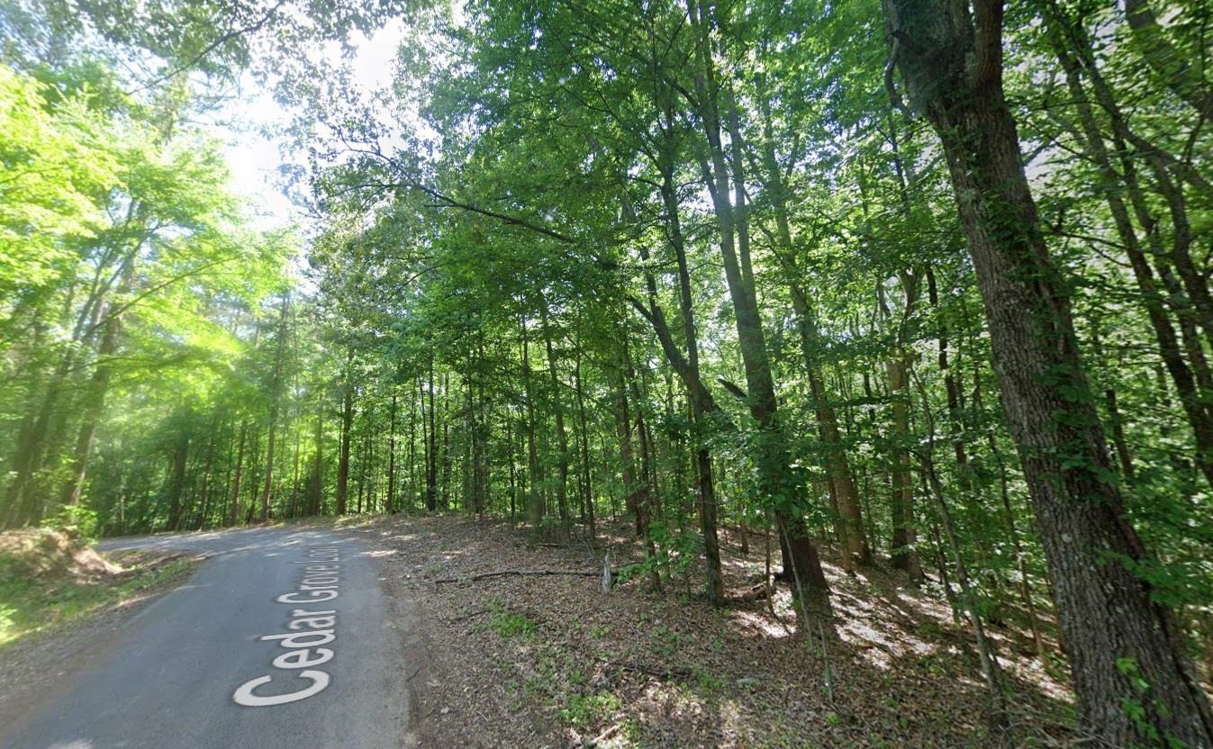 Cedar Grove Loop Property Photo 3