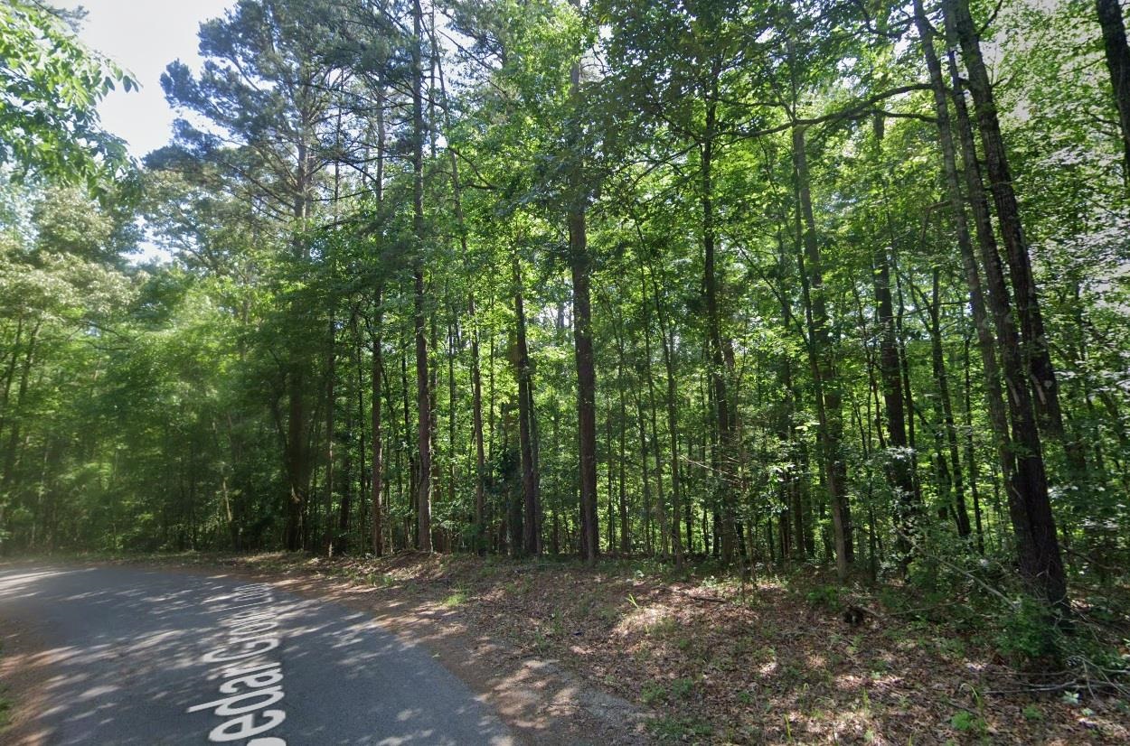 Cedar Grove Loop Property Photo 5