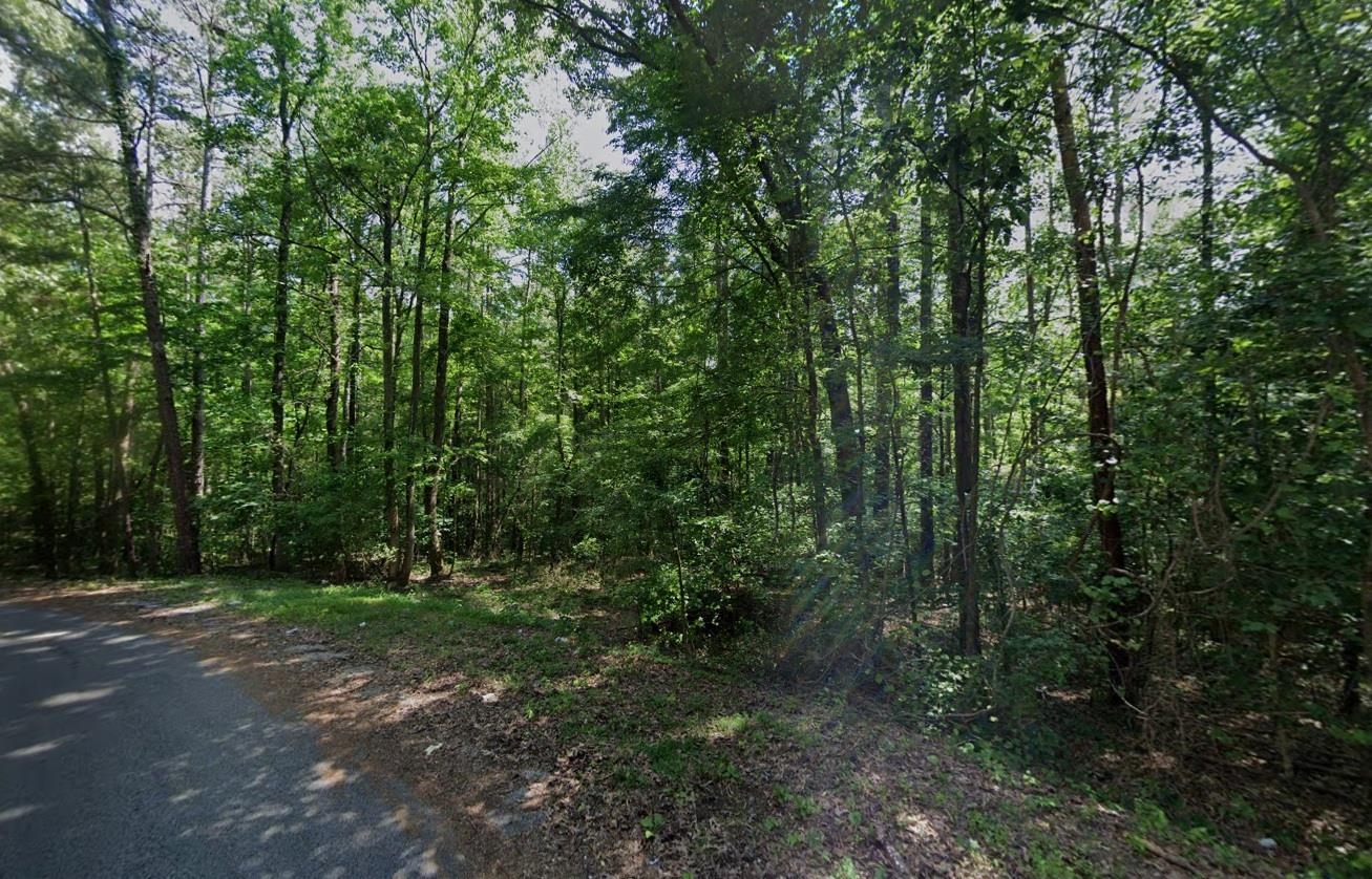 Cedar Grove Loop Property Photo 7