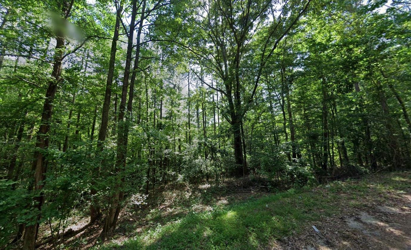Cedar Grove Loop Property Photo 8