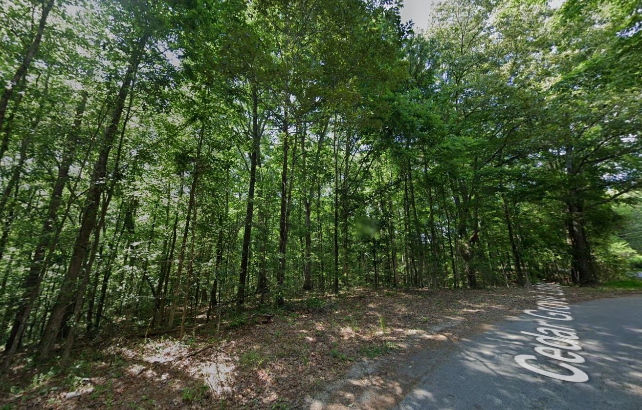Cedar Grove Loop Property Photo 10