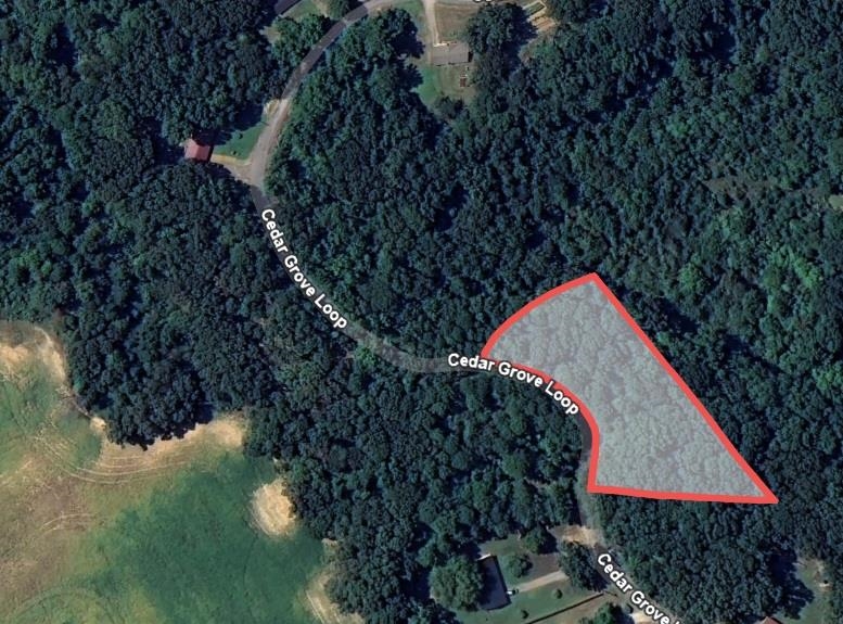 Cedar Grove Loop Property Photo 16