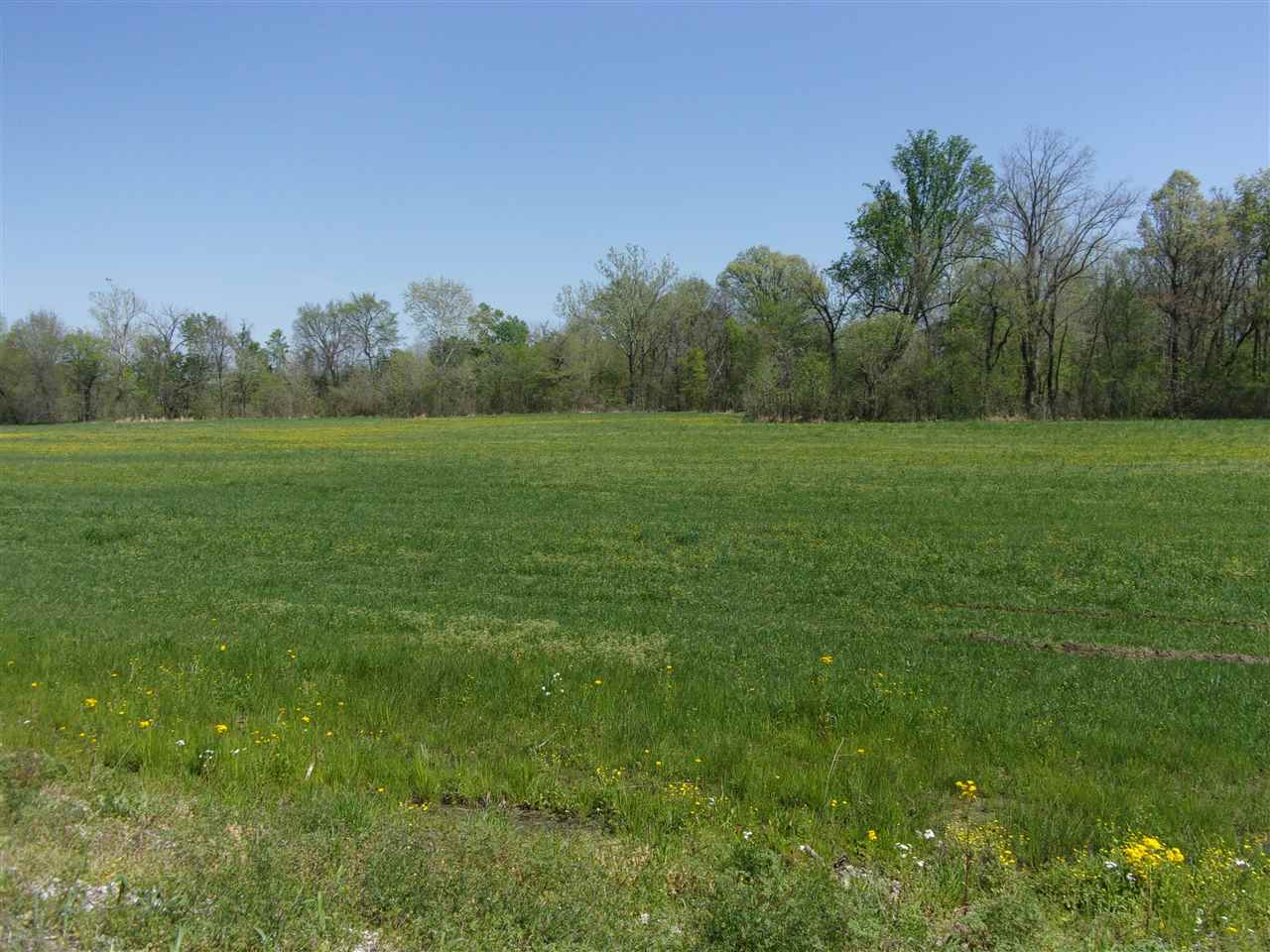 000 Lovelace Crossing Rd Property Photo 10