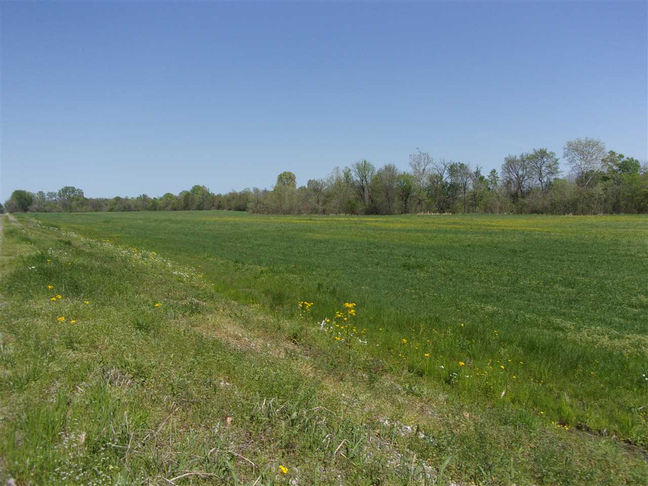 000 Lovelace Crossing Rd Property Photo 12