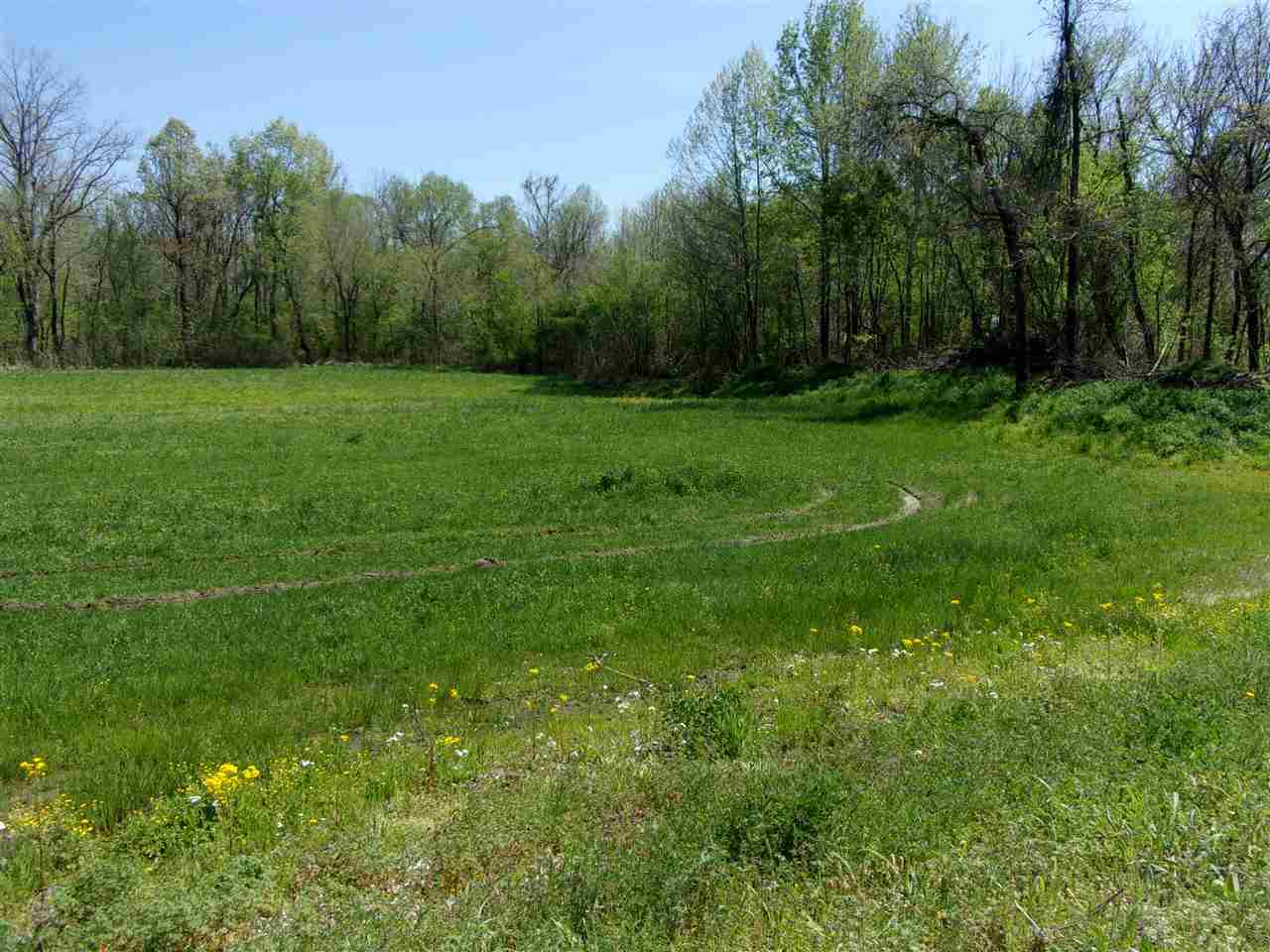 000 Lovelace Crossing Rd Property Photo 13