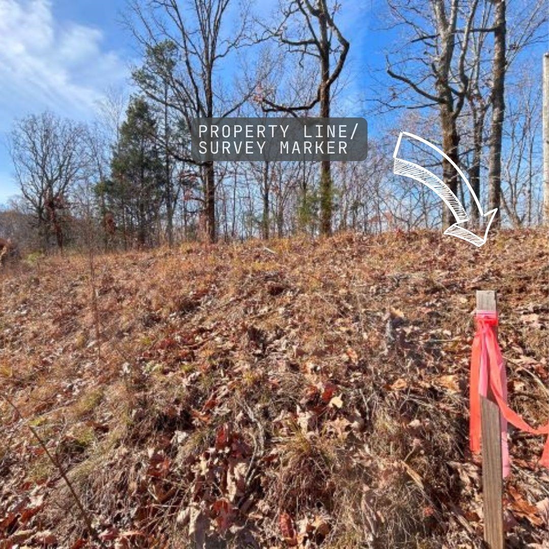 55 Lakewood Dr Cwl55 Property Photo 12