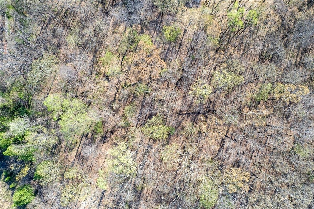 0 Morgan Rd Property Photo 5