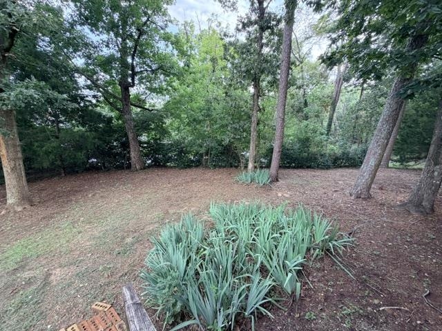 135 Spumante Ln Property Photo 21