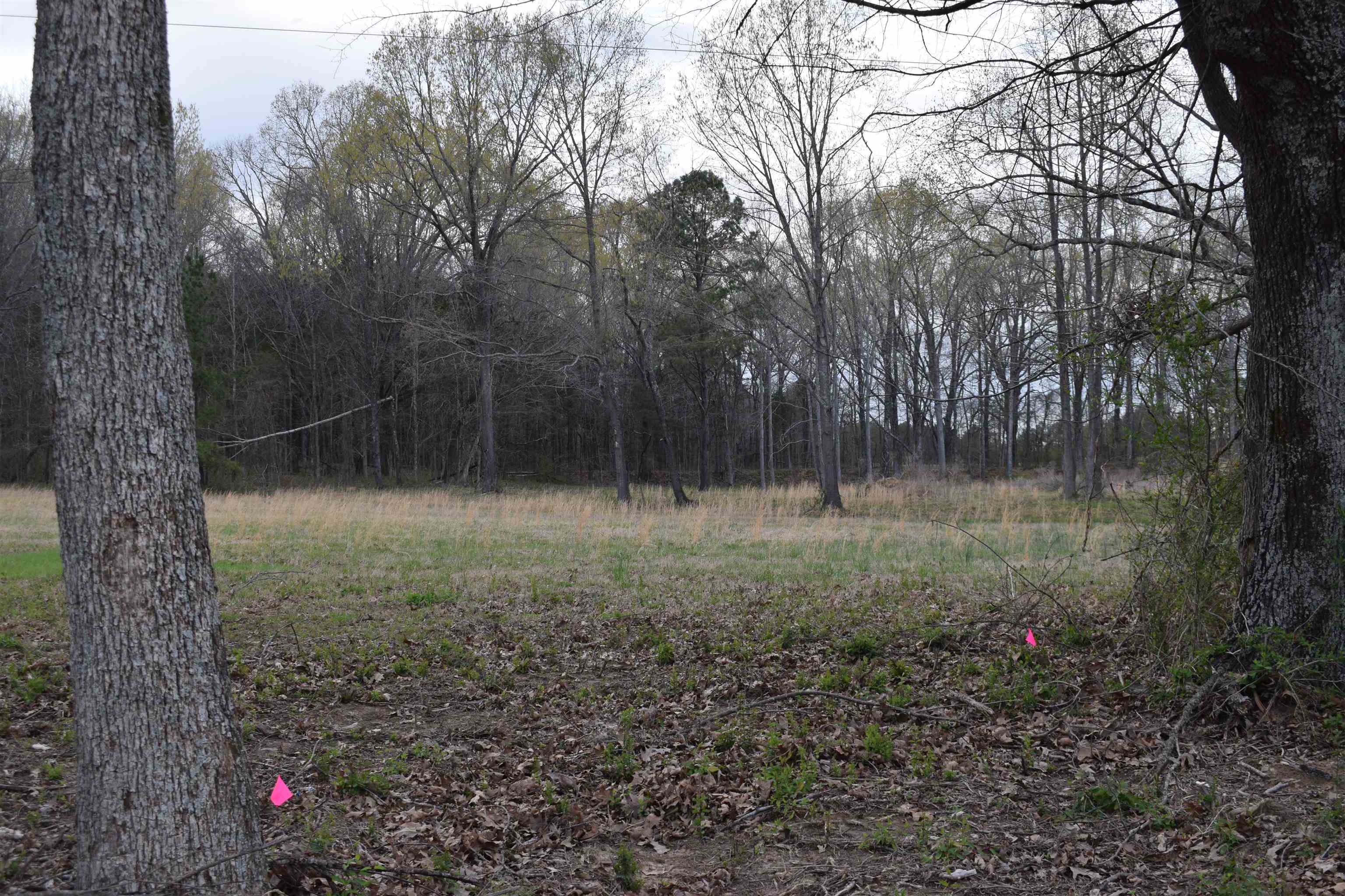 0 Hwy 193 Rd Property Photo 3
