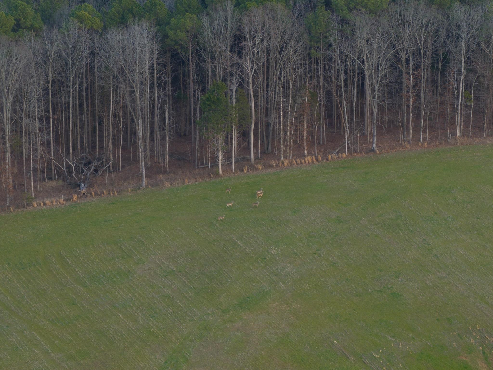 0 Como & Mckenzie Rd Property Photo 15
