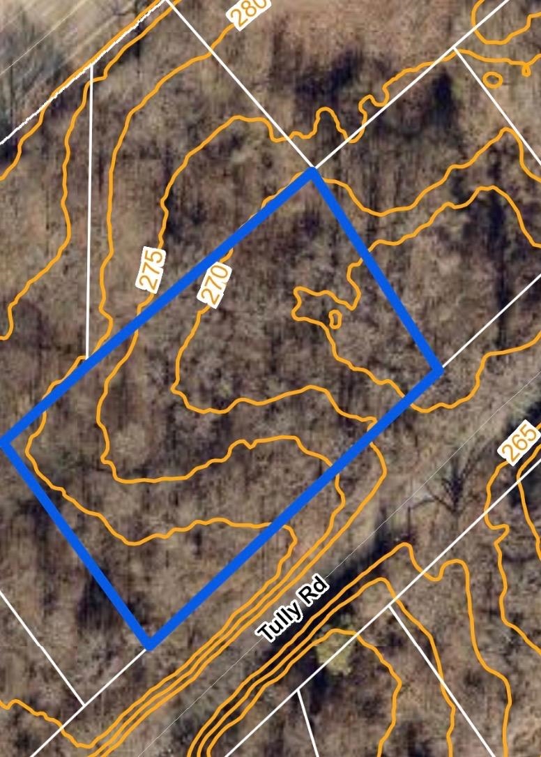 5155 Tully Rd Property Photo 2