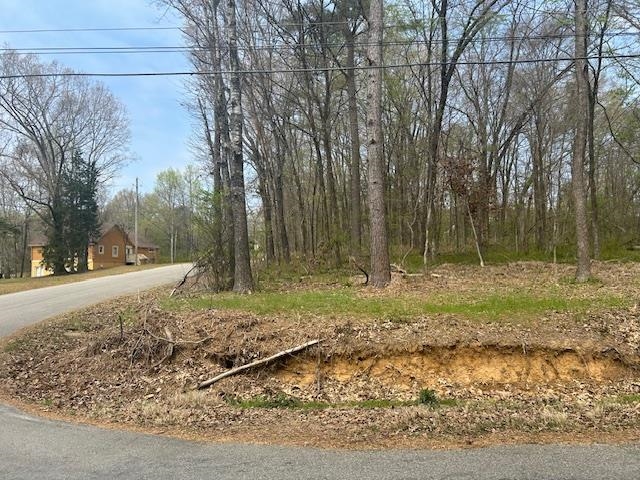 0 Lakeview Dr Property Photo 2