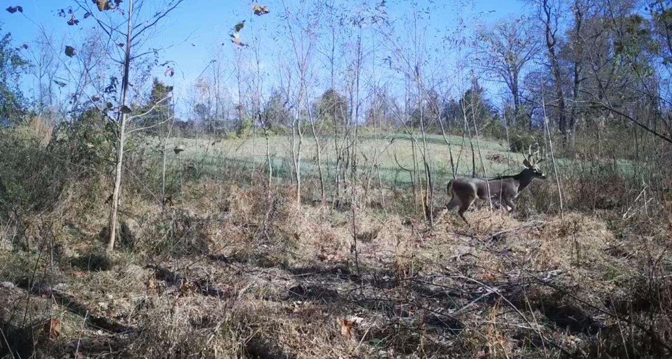 00 Hunters Trace Dr Property Photo 9