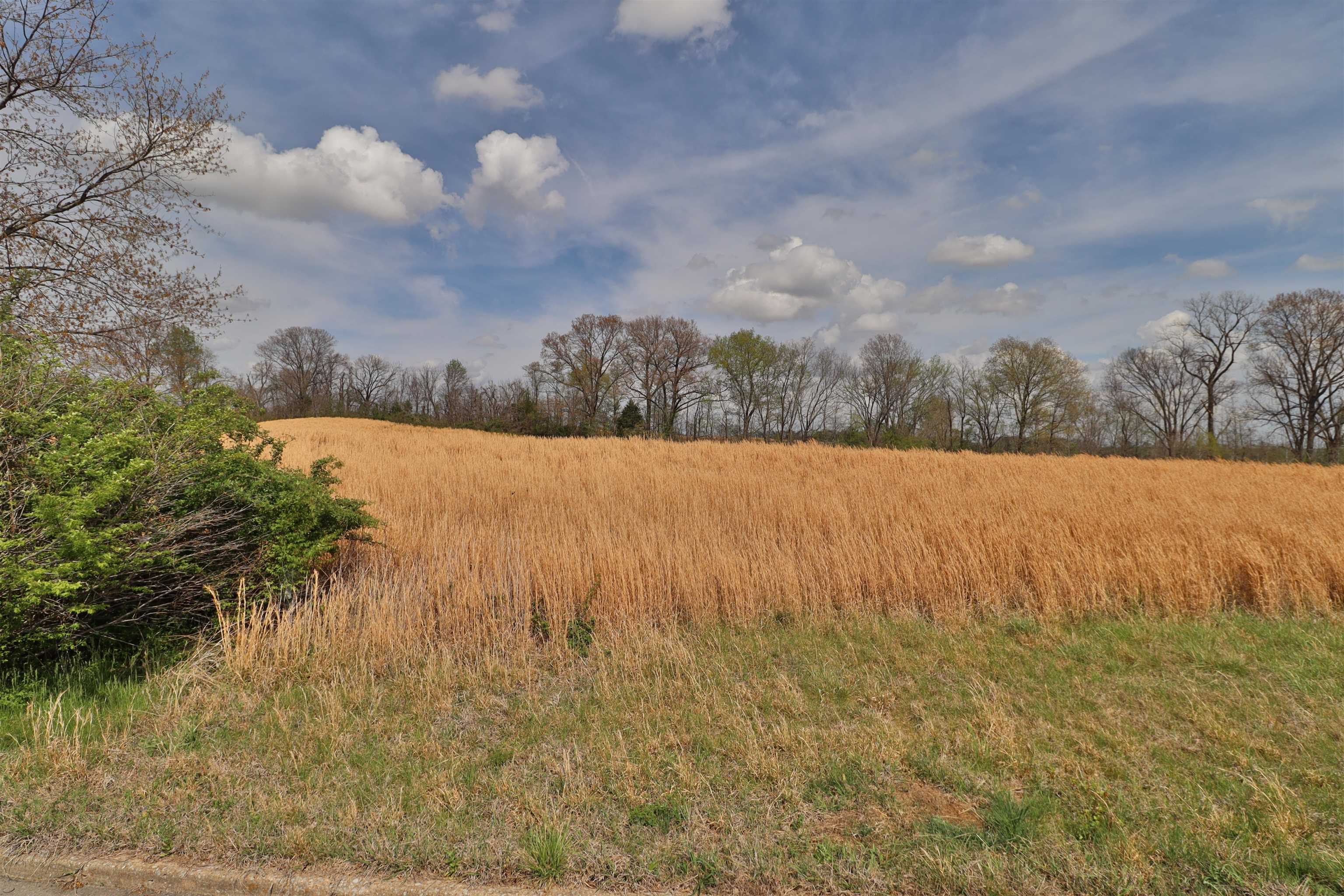 00 Hunters Trace Dr Property Photo 31
