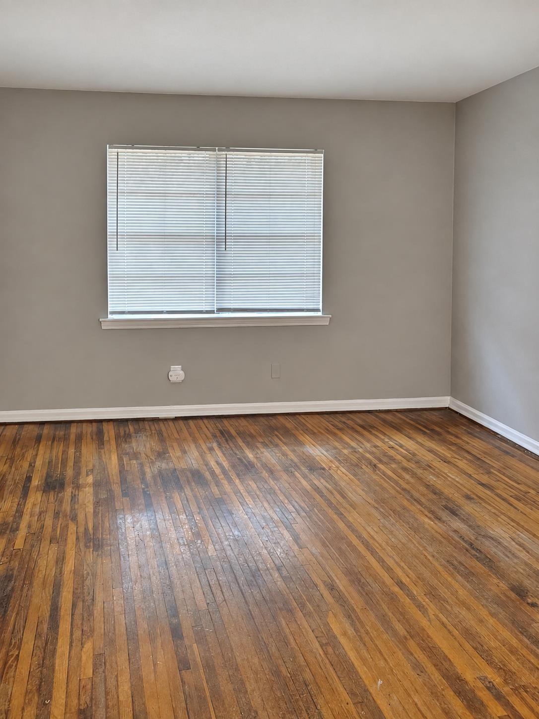 1907 Kingsley Ave Property Photo 11