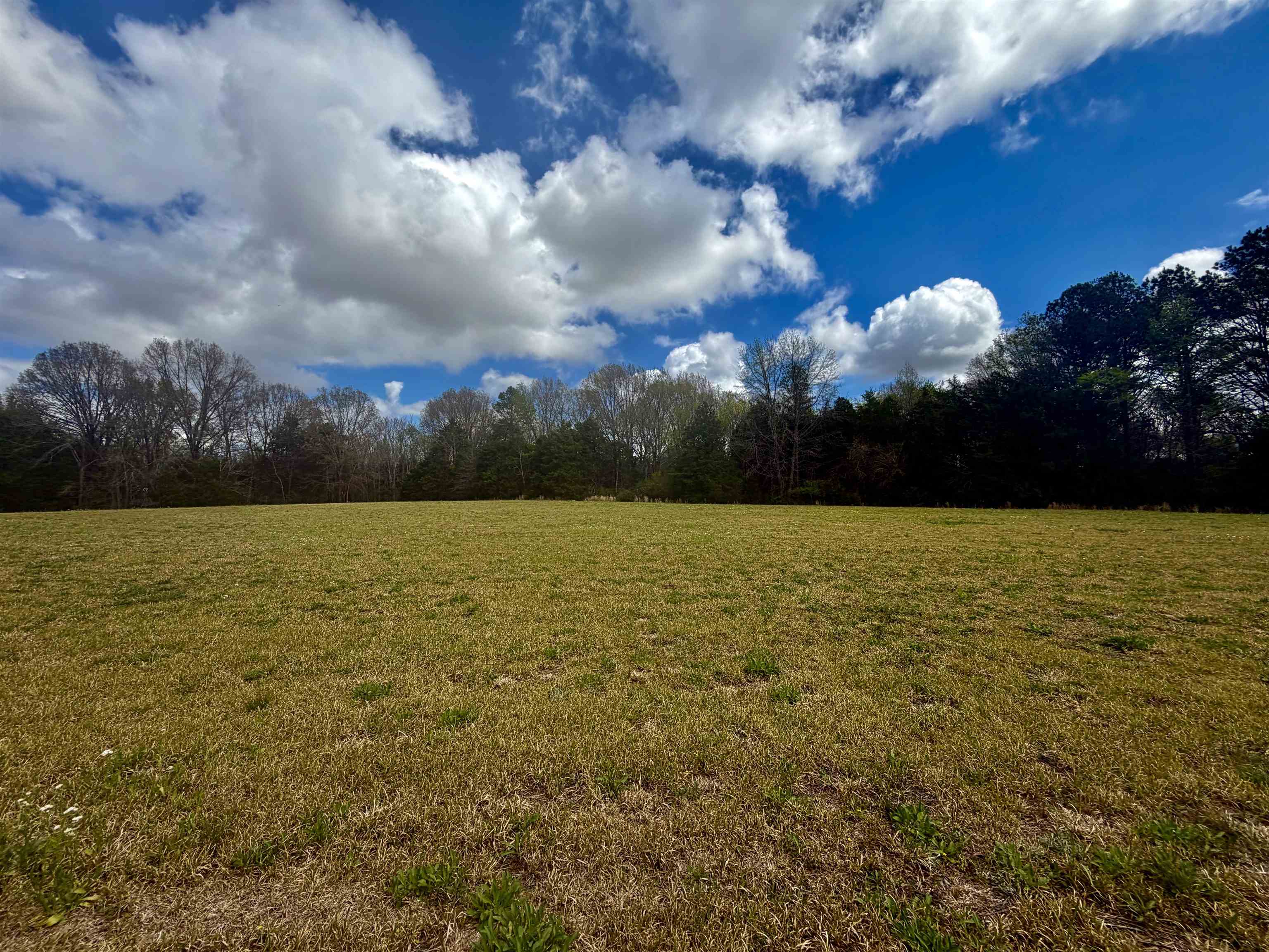 8.19 Ac Feathers Chapel Dr Property Photo 1