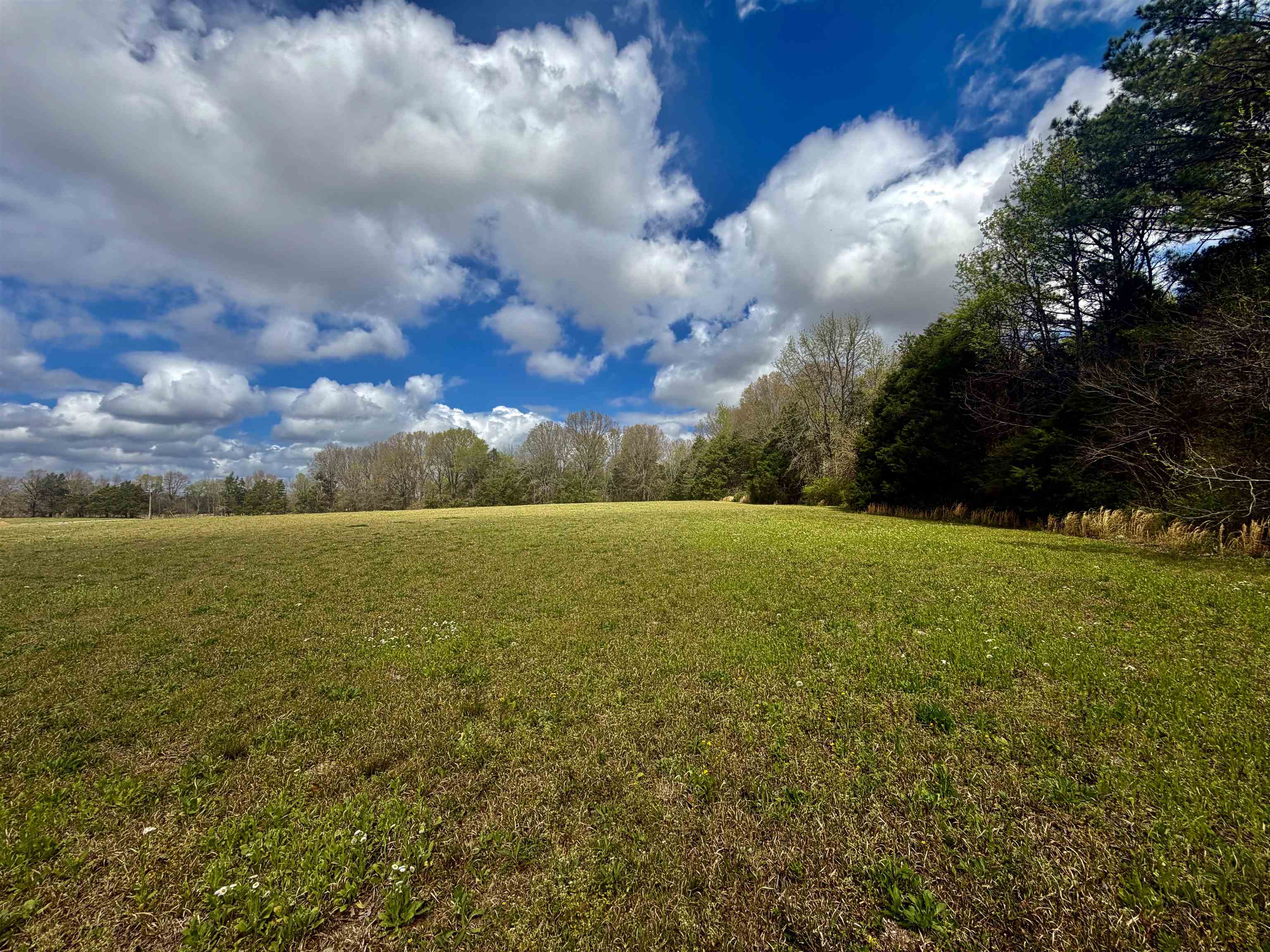 8.19 Ac Feathers Chapel Dr Property Photo 2