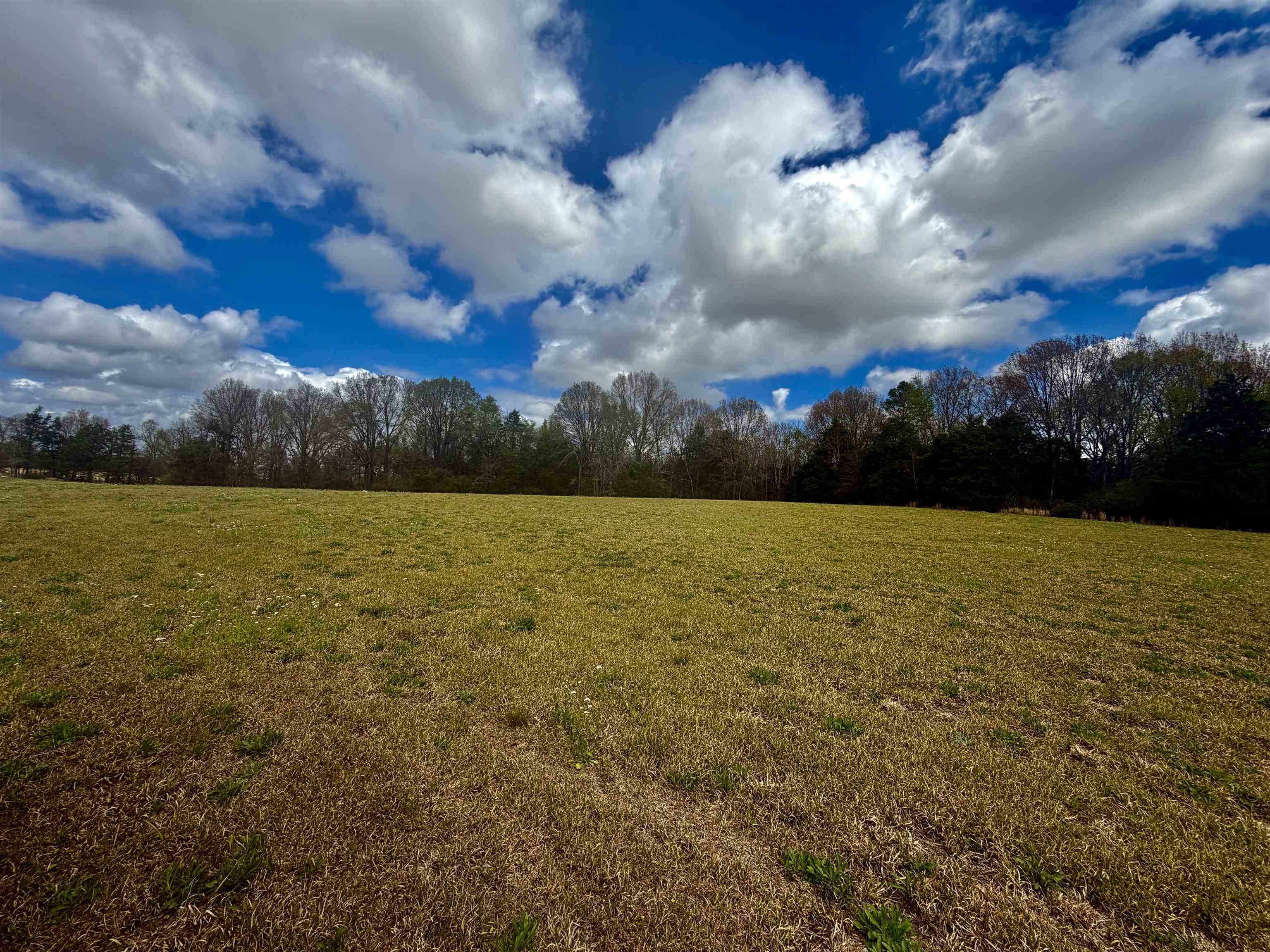 8.19 Ac Feathers Chapel Dr Property Photo 3