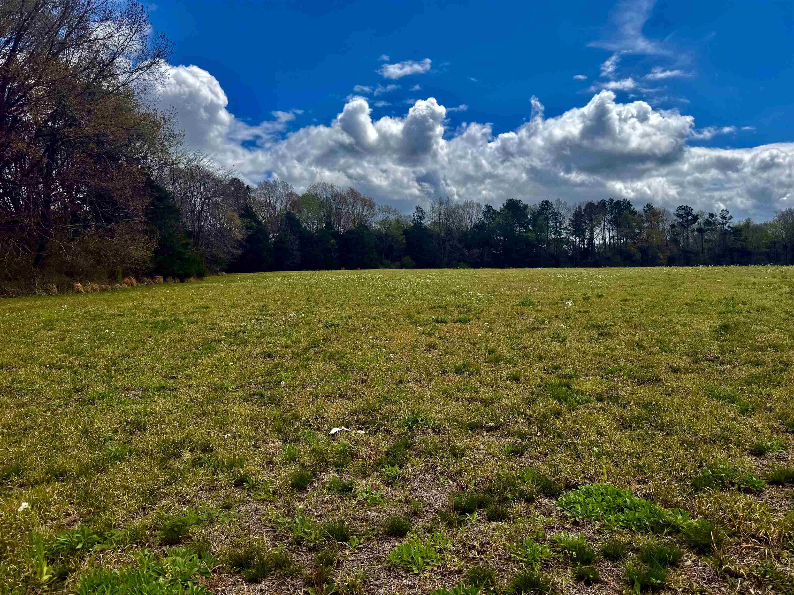 8.19 Ac Feathers Chapel Dr Property Photo 4