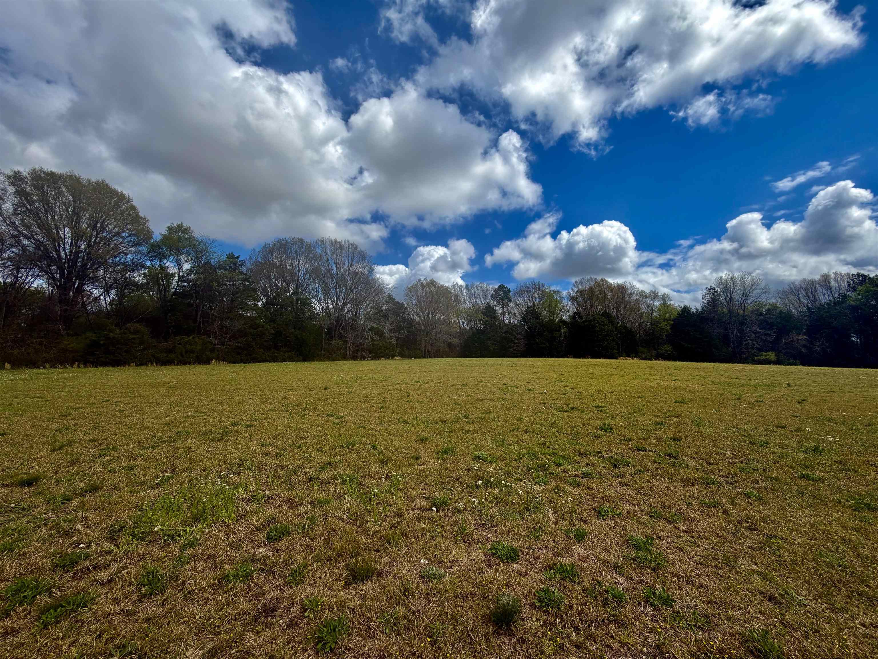 8.19 Ac Feathers Chapel Dr Property Photo 5