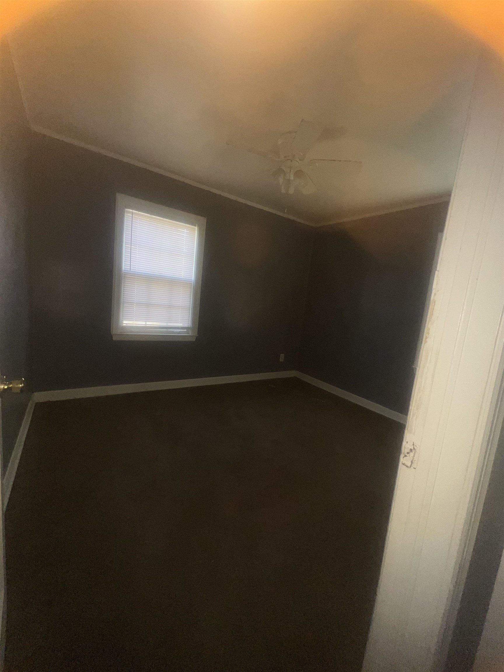 3439 Hester Ave Property Photo 9