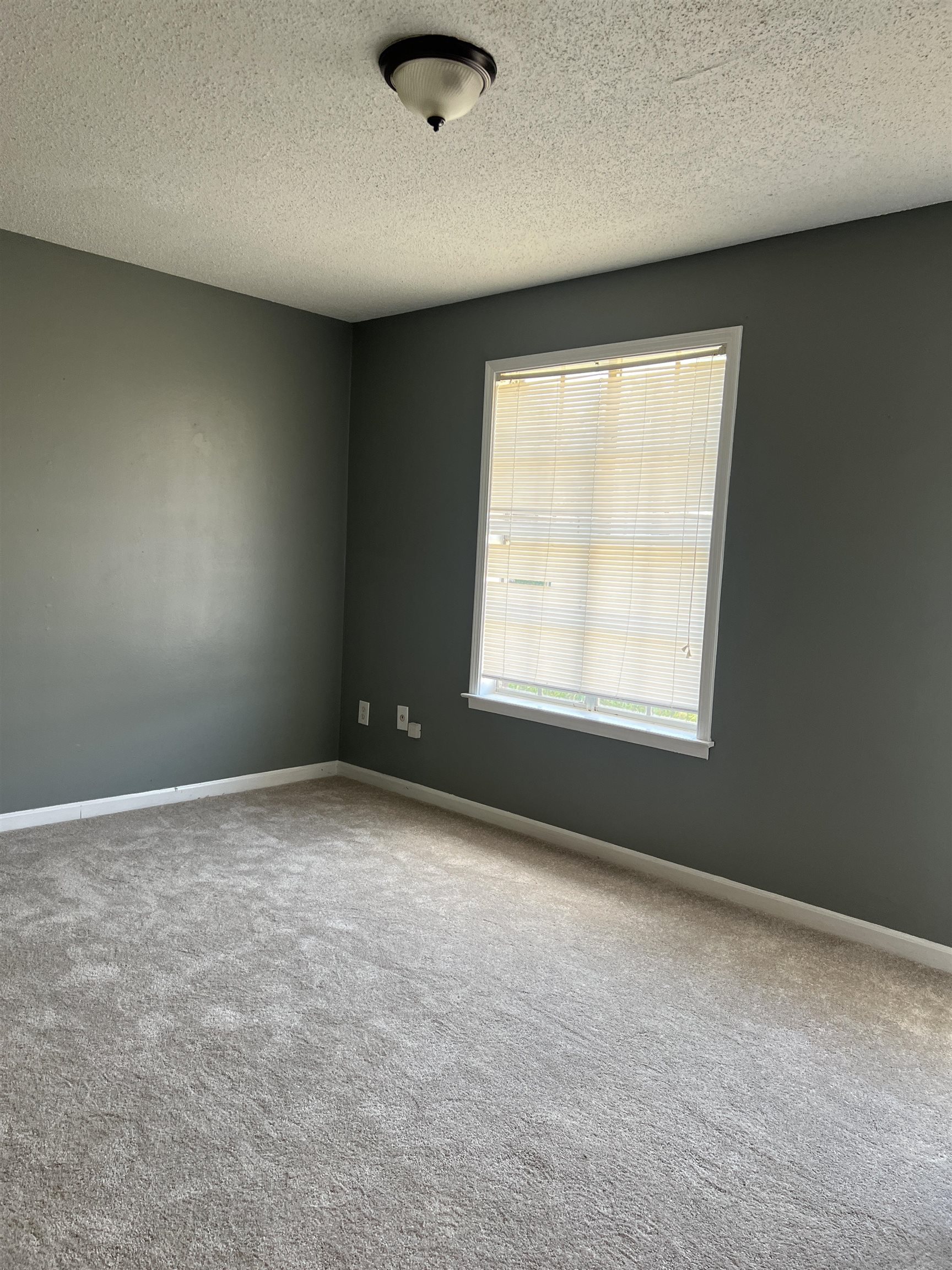 4787 Townhouse Way Property Photo 17
