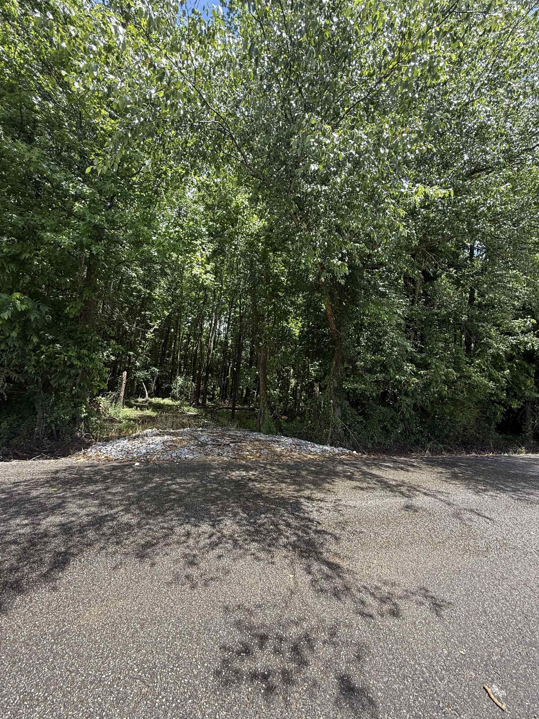 0 Hays Rd Property Photo 1