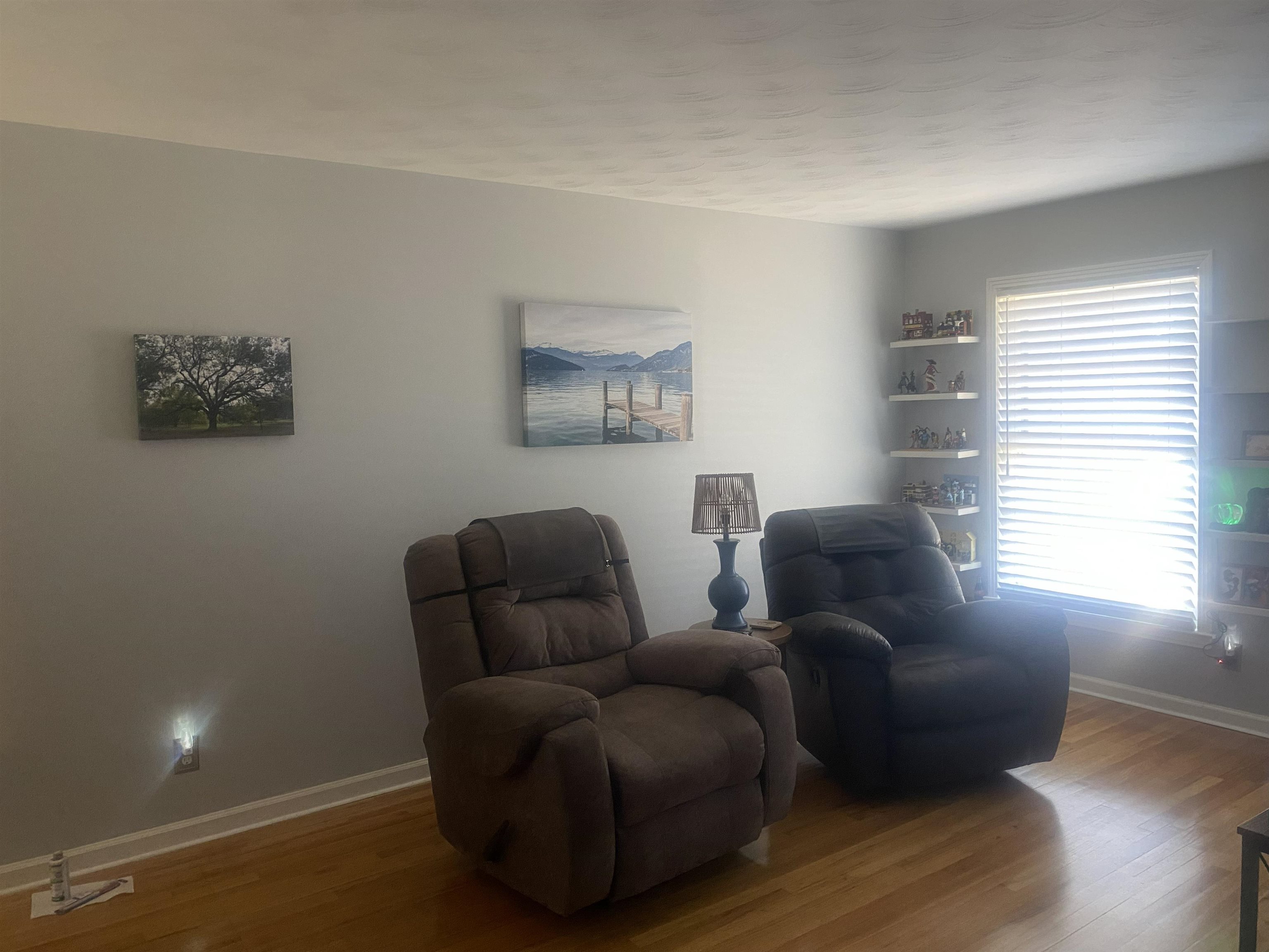 370 Lillian Dr Property Photo 12
