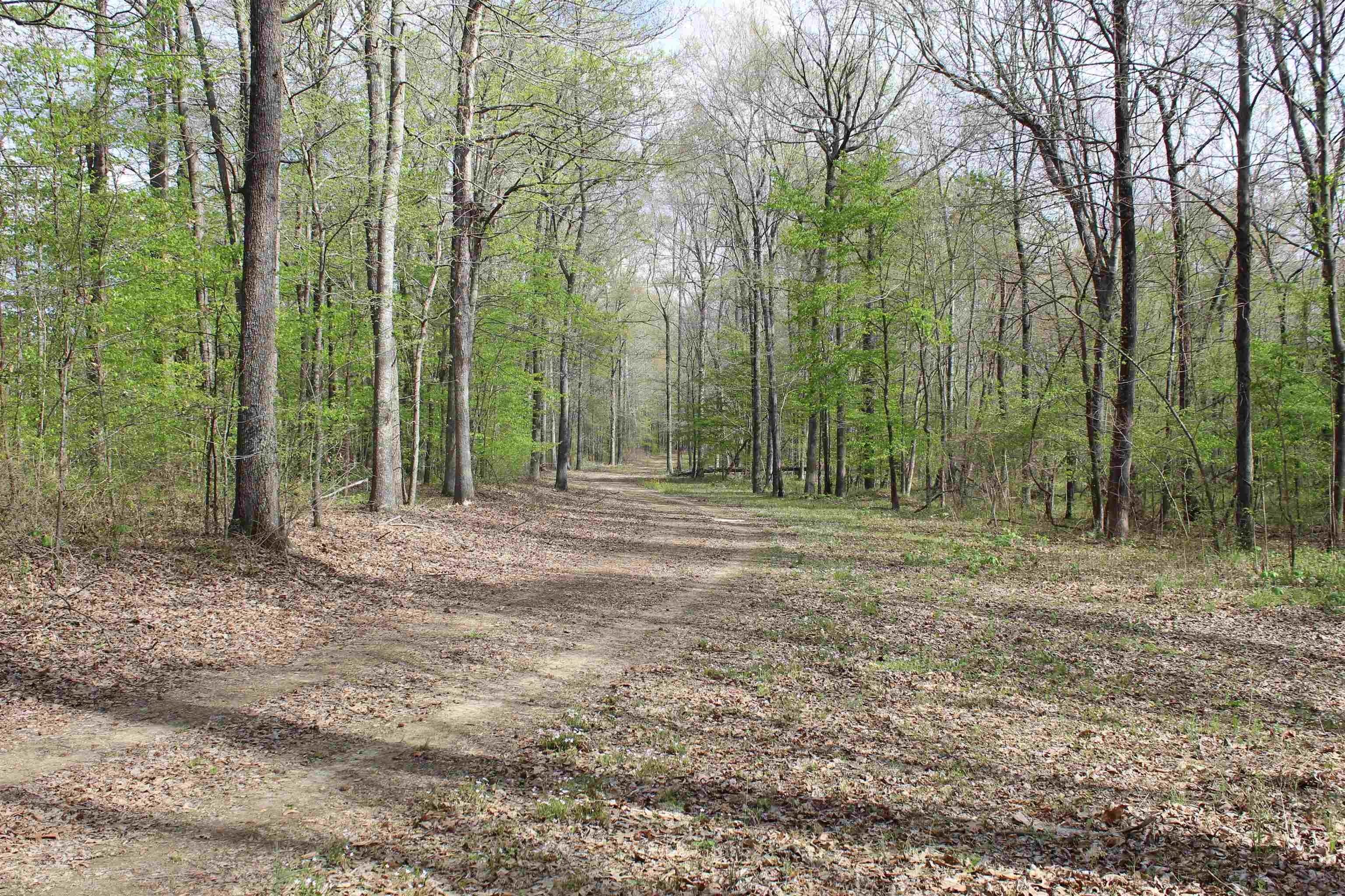 000 Estanaula Rd Property Photo 1