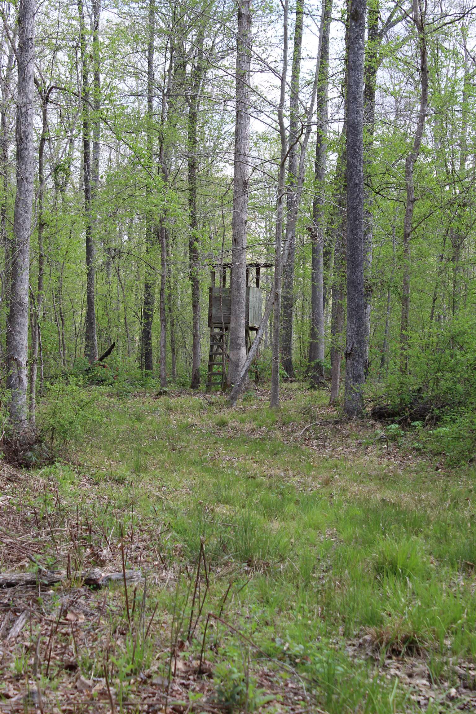 000 Estanaula Rd Property Photo 9