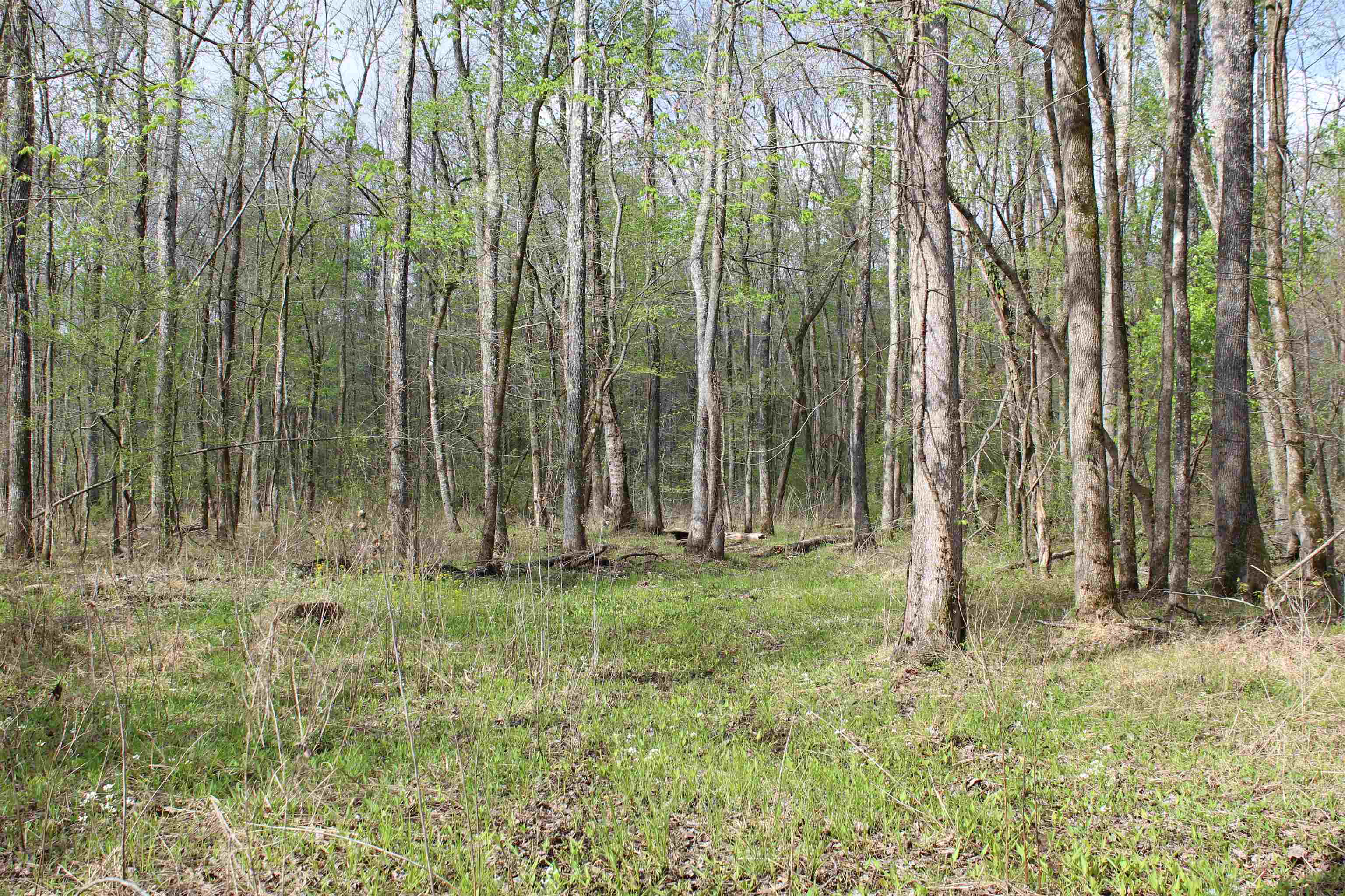 000 Estanaula Rd Property Photo 11